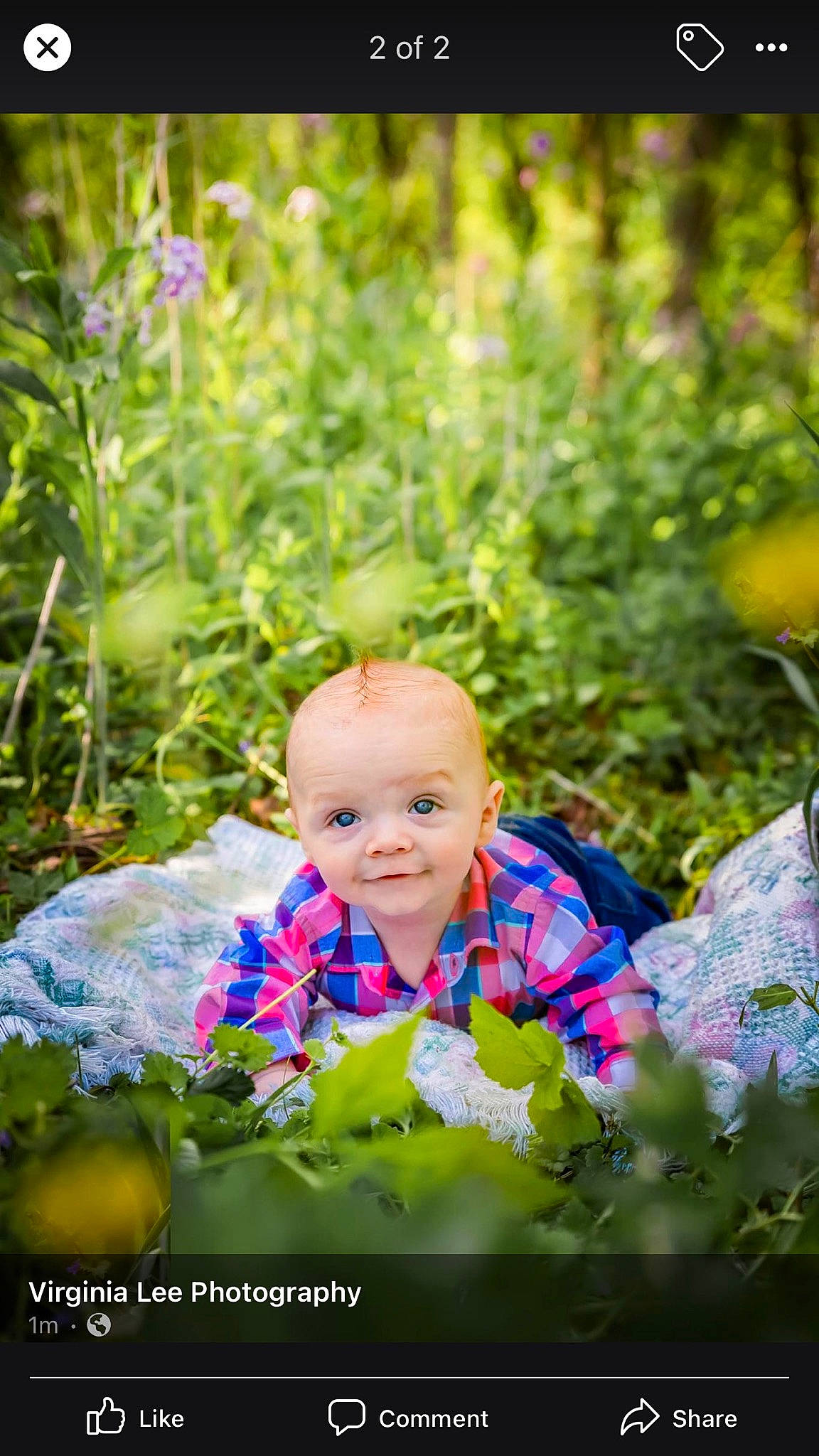 Ruger joined the competition — help win amazing prizes! baby, baby_toddler_clothing, botany, eye, flower, forest, fun, grass, grass_family, happy, leisure, meadow, natural_landscape, people_in_nature, person, plant, smile, sunlight, terrestrial_plant, toddler