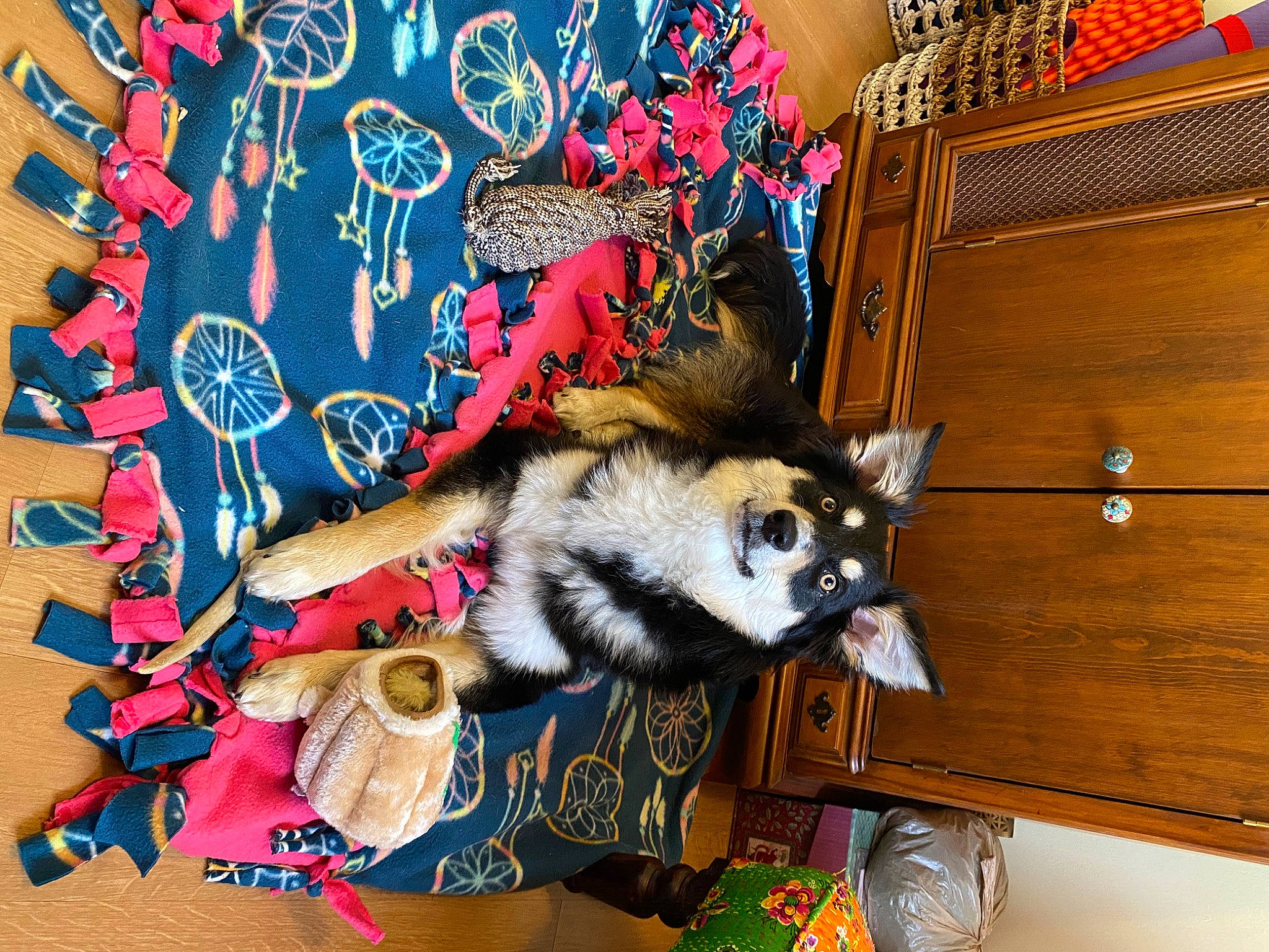 Riley joined the competition — help win amazing prizes! art, carnivore, cat, fashion_accessory, fawn, felidae, fur, hardwood, pattern, plant, room, sleeve, small_to_medium_sized_cats, street_fashion, tail, textile, tree, visual_arts, whiskers, wood