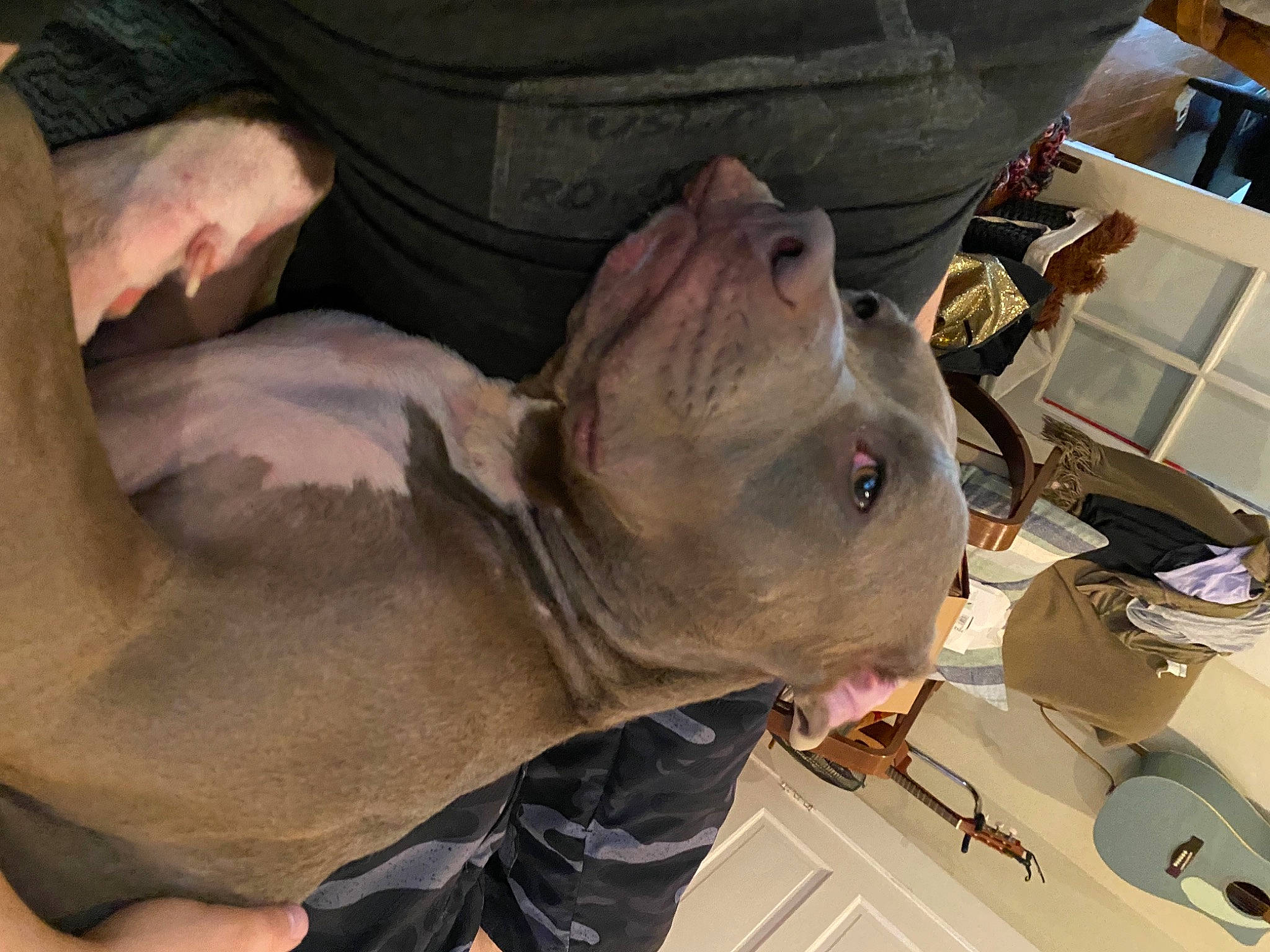 Fiona is registered to the contest to win money with this photo: flesh, jaw, marine_biology, shelf, skin, snout, wrinkle