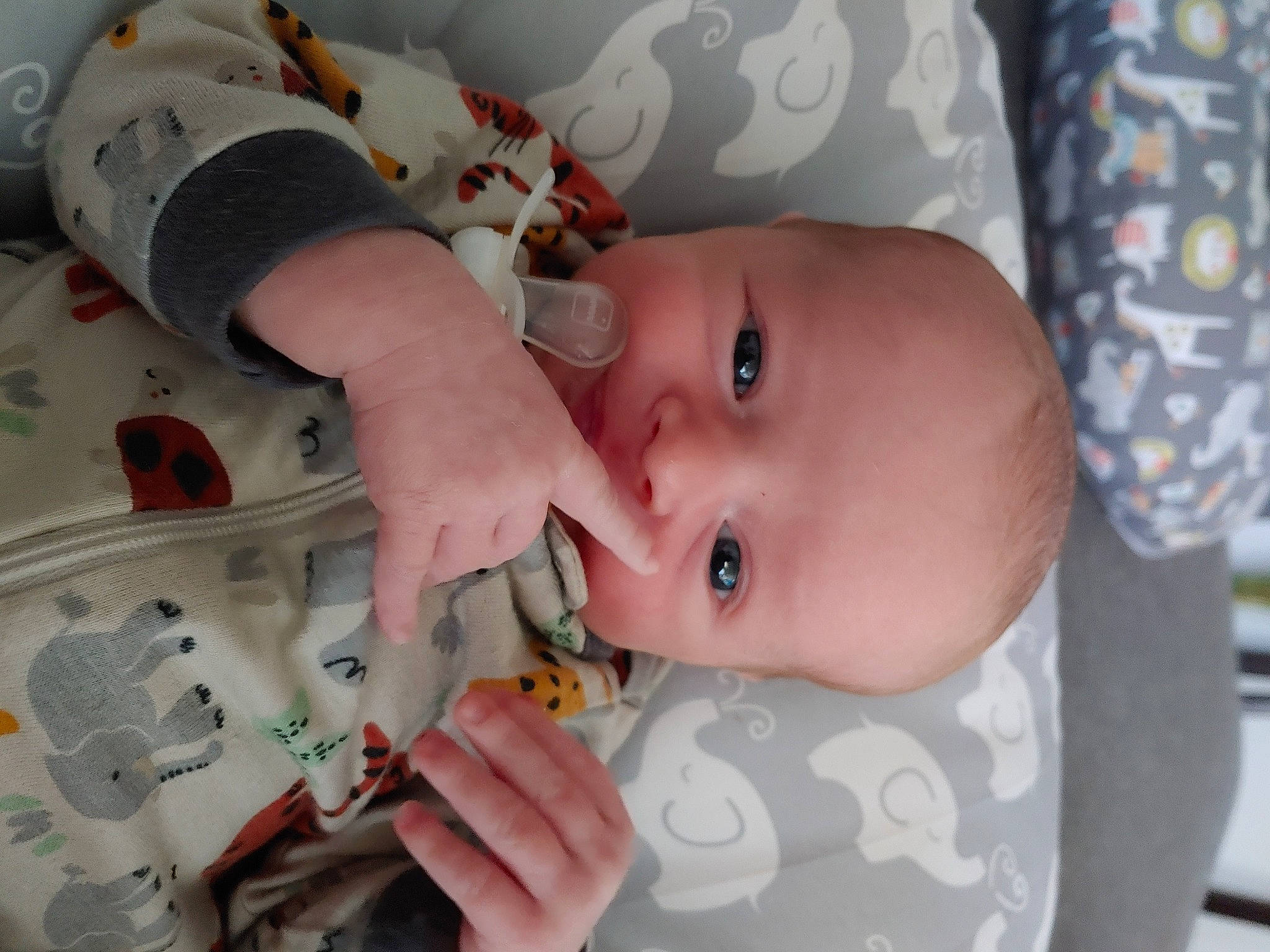 Emmitt joined the competition — help win amazing prizes! baby, baby_products, baby_safety, baby_toddler_clothing, baby_toys, cheek, child, eyelash, finger, hand, human_body, iris, lip, mouth, nail, nose, person, room, skin, smile