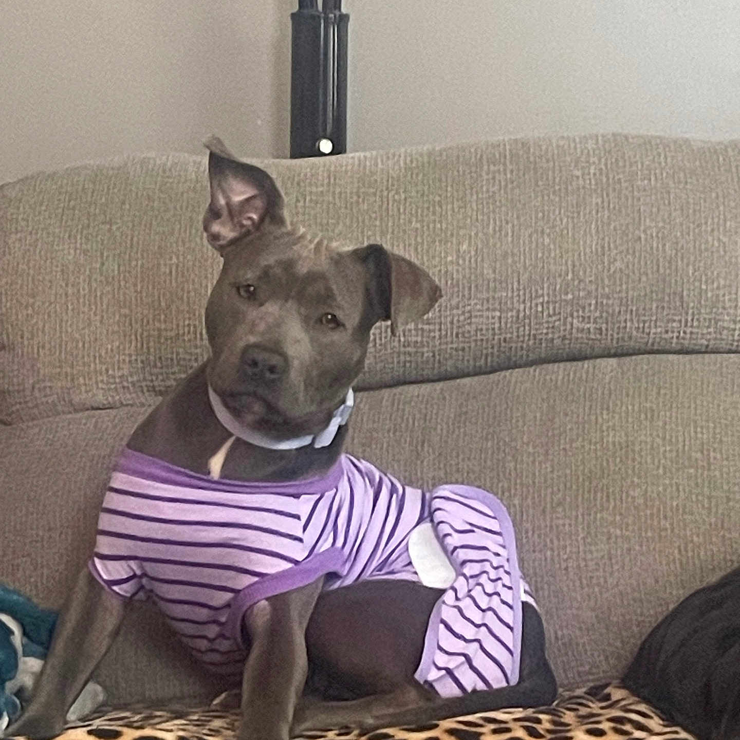 Charlie