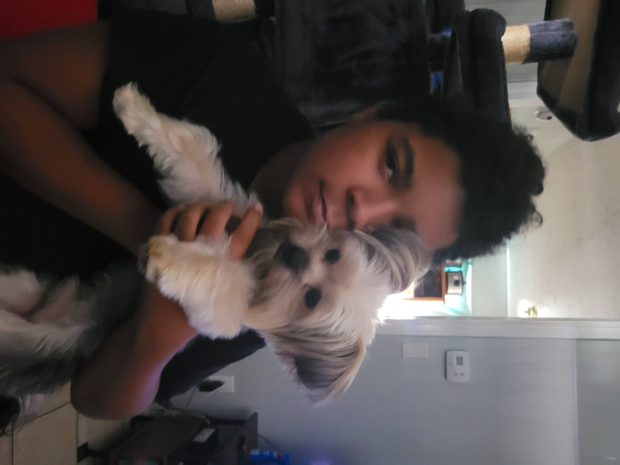 Louie joined the competition — help win amazing prizes! audio_equipment, black_hair, companion_dog, dog, dog_breed, ear, eyebrow, eyelash, fawn, fun, fur, gesture, hairstyle, happy, jaw, microphone, mouth, nose, room, sporting_group