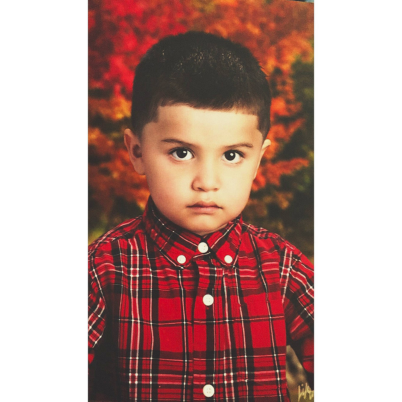 Lenny joined the competition — help win amazing prizes! boy, child, child_model, design, forehead, outerwear, pattern, person, plaid, portrait, tartan, toddler