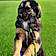 Bandi