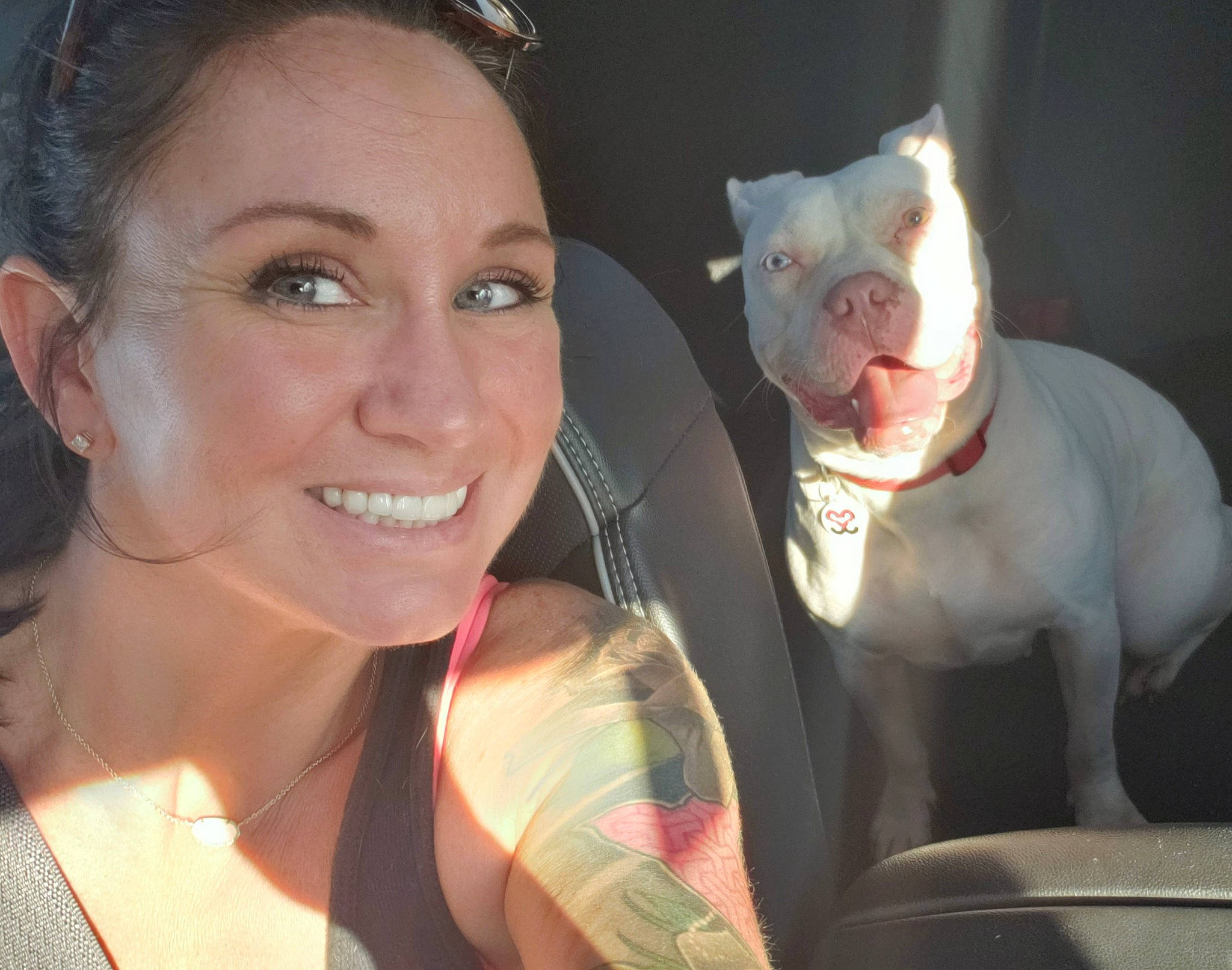 Mia is registered to the contest to win money with this photo: american_bulldog, american_pit_bull_terrier, canidae, companion_dog, dog, dog_breed, ear, fawn, french_bulldog, mouth, non_sporting_group, nose, photography, pit_bull, puppy_love, selfie, skin, smile, snout