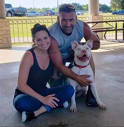 Mia is registered to the contest to win money with this photo: american_pit_bull_terrier, bull_and_terrier, canidae, carnivore, companion_dog, dog, dog_breed, fawn, french_bulldog, gull_terr, leg, mammal, non_sporting_group, old_english_terrier, pit_bull, vertebrate