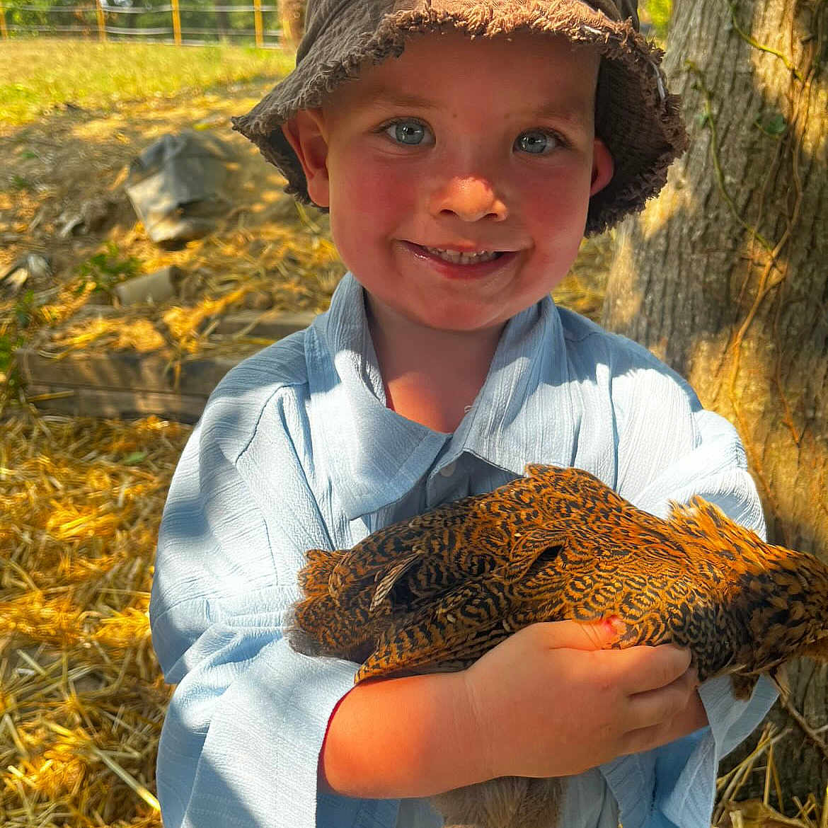 Alinoë participe au concours pour gagner de l'argent avec cette photo : backyard, blue_shirt, bucket_hat, chicken, child, closeup, face, farm, happy, holding, kid, nature, outdoor, pet, portrait, smile, straw, sunlight, tree, young_child