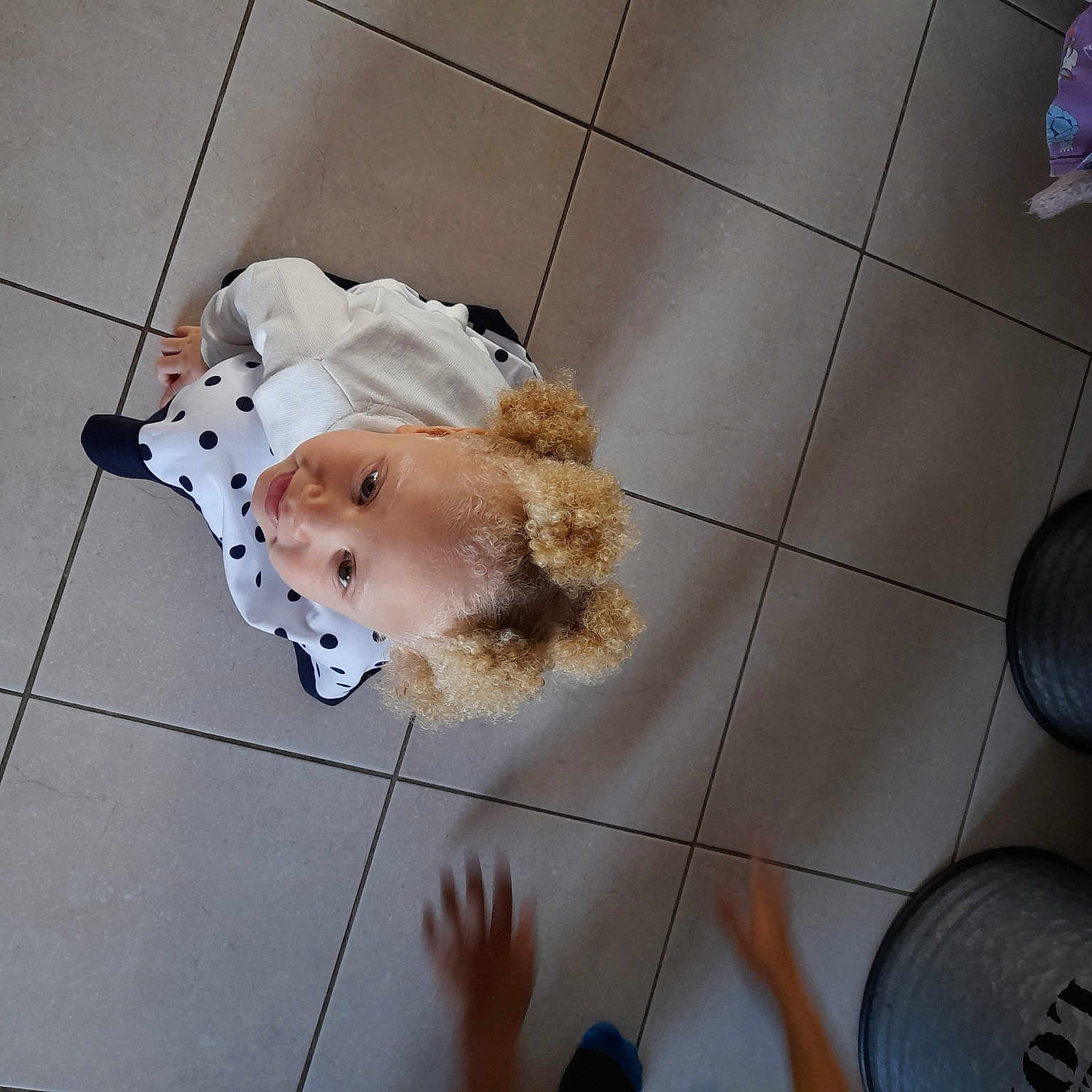 Elizabeth participe au concours pour gagner de l'argent avec cette photo : canidae, carnivore, cavachon, cockapoo, companion_dog, dog, dog_breed, maltese, morkie, non_sporting_group, pomeranian, puppy, puppy_love, shih_tzu, spitz, sporting_group, toy_dog