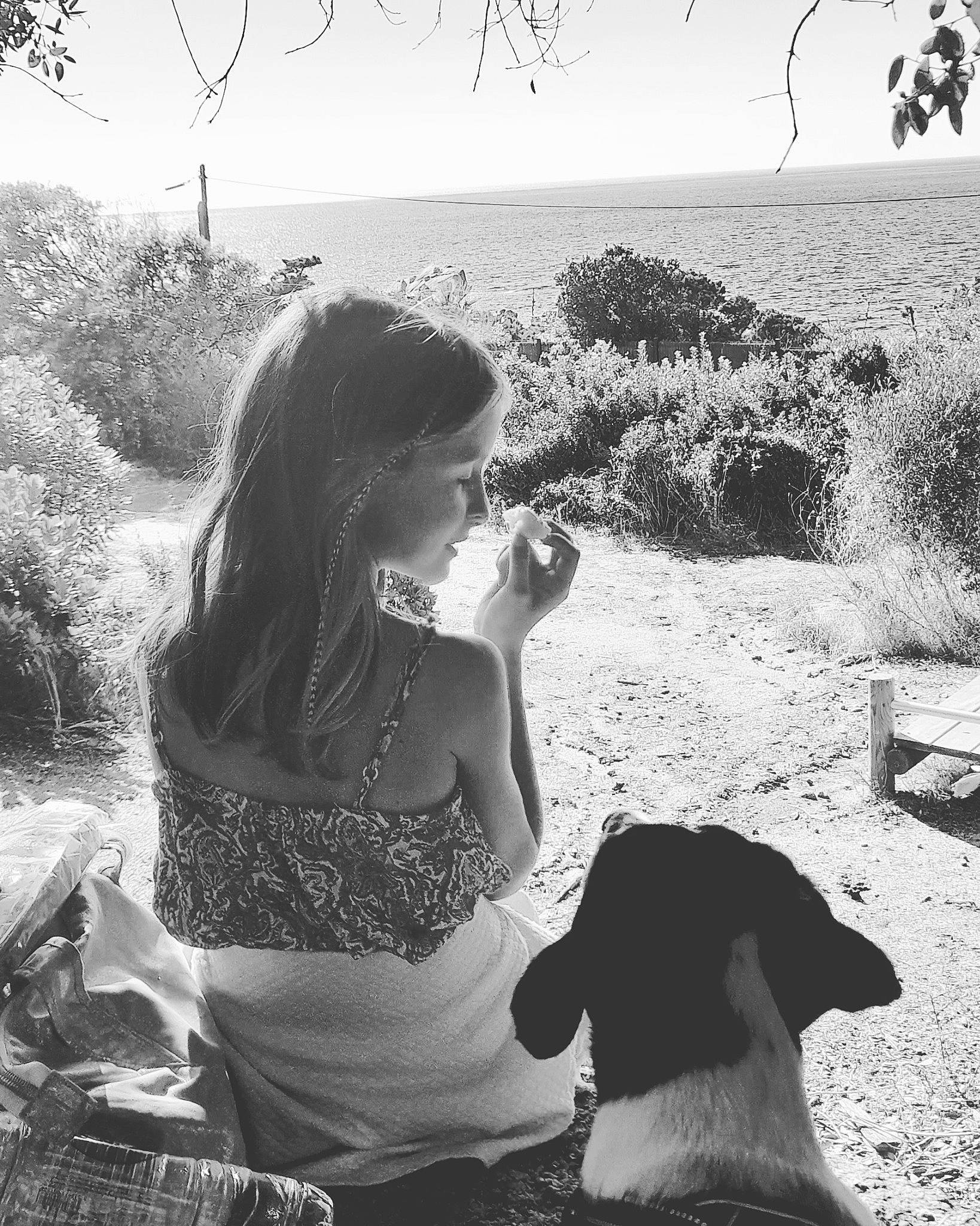 Galaxie a rejoint le concours — aidez-le/la à gagner de superbes lots ! black, black_and_white, carnivore, dog, flash_photography, gesture, grass, happy, human, light, mammal, nature, people_in_nature, photograph, plant, sky, style, sunlight, vertebrate, white