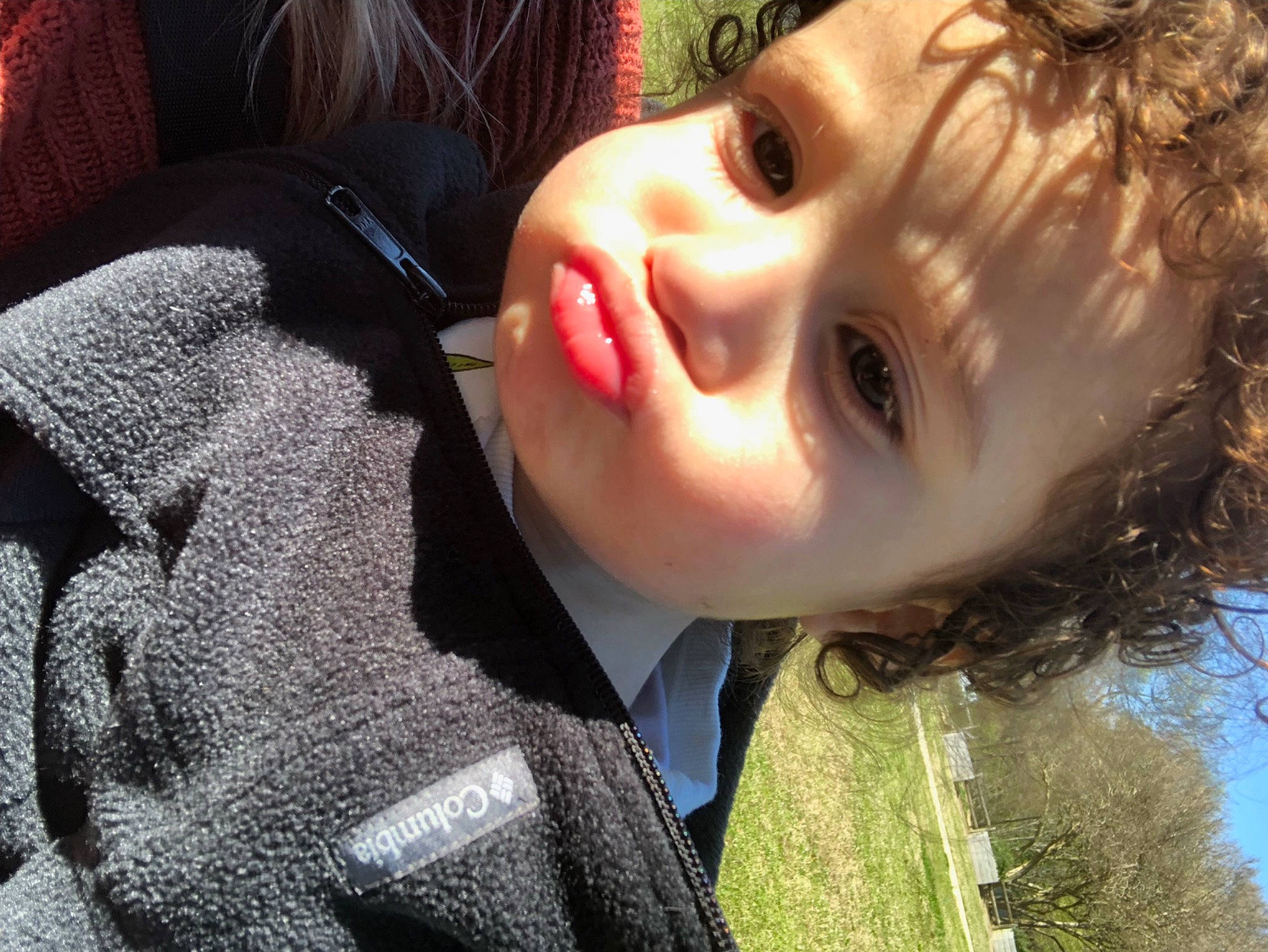 Bronson joined the competition — help win amazing prizes! cheek, cool, eye, eyebrow, eyelash, grass, happy, head, iris, light, lip, mouth, nose, organ, people_in_nature, person, plant, skin, smile, tree