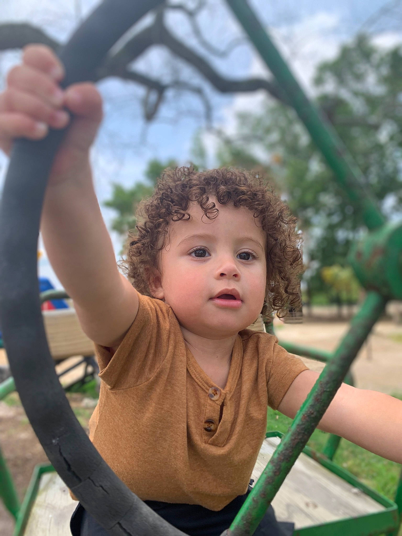 Bronson joined the competition — help win amazing prizes! black, botany, facial_expression, finger, fun, grass, green, hand, happy, human, leaf, leisure, mammal, organ, person, playground, public_space, skin, sky, tree