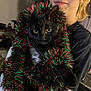 person, cat, black_cat, tinsel, holiday_decor, indoor, glasses, smile, face, pet, holding, festive, christmas, decorations, curious, feline, closeup, warm_lighting, casual_clothing, home