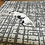 cat, calico, carpet, patterned_rug, indoor, floor, wood_floor, furniture, recliner, relaxing, pet, animal, stretching, cozy, home_interior, living_room, resting, cute, fur, whiskers