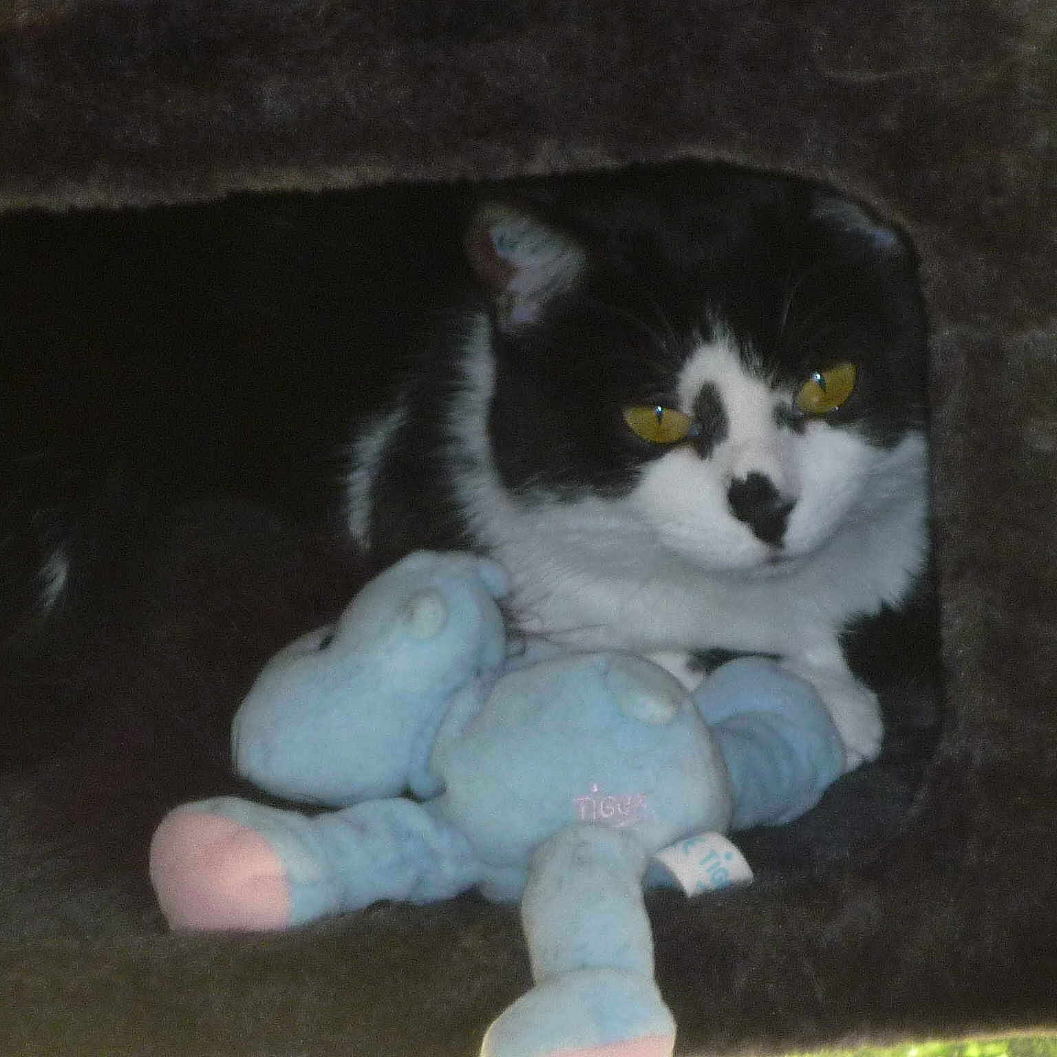 LILOU