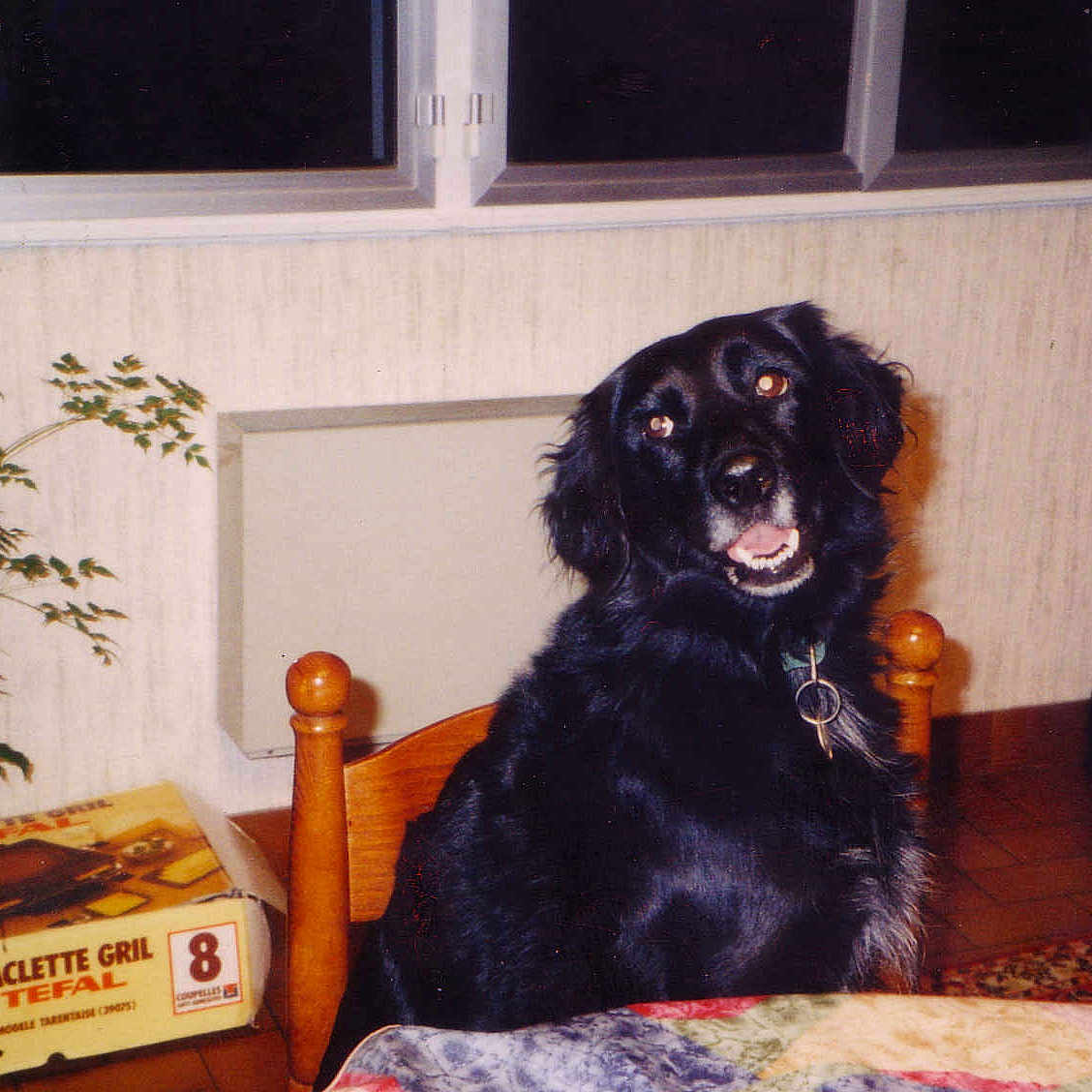 LEA