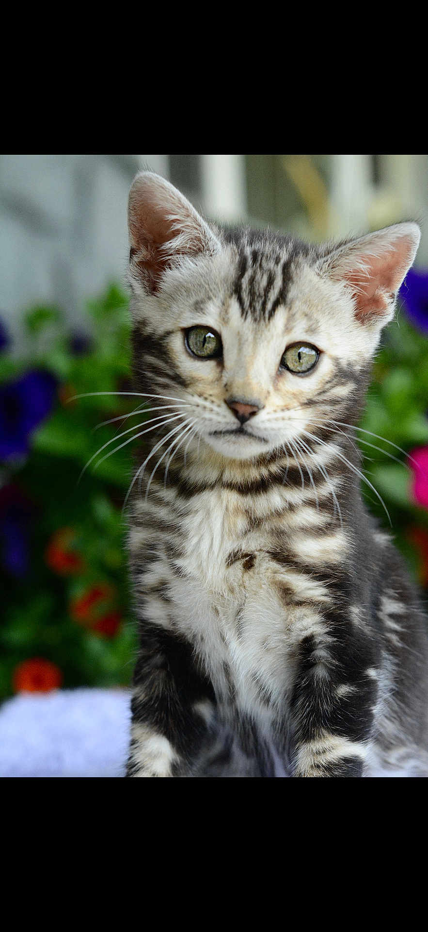 Benny