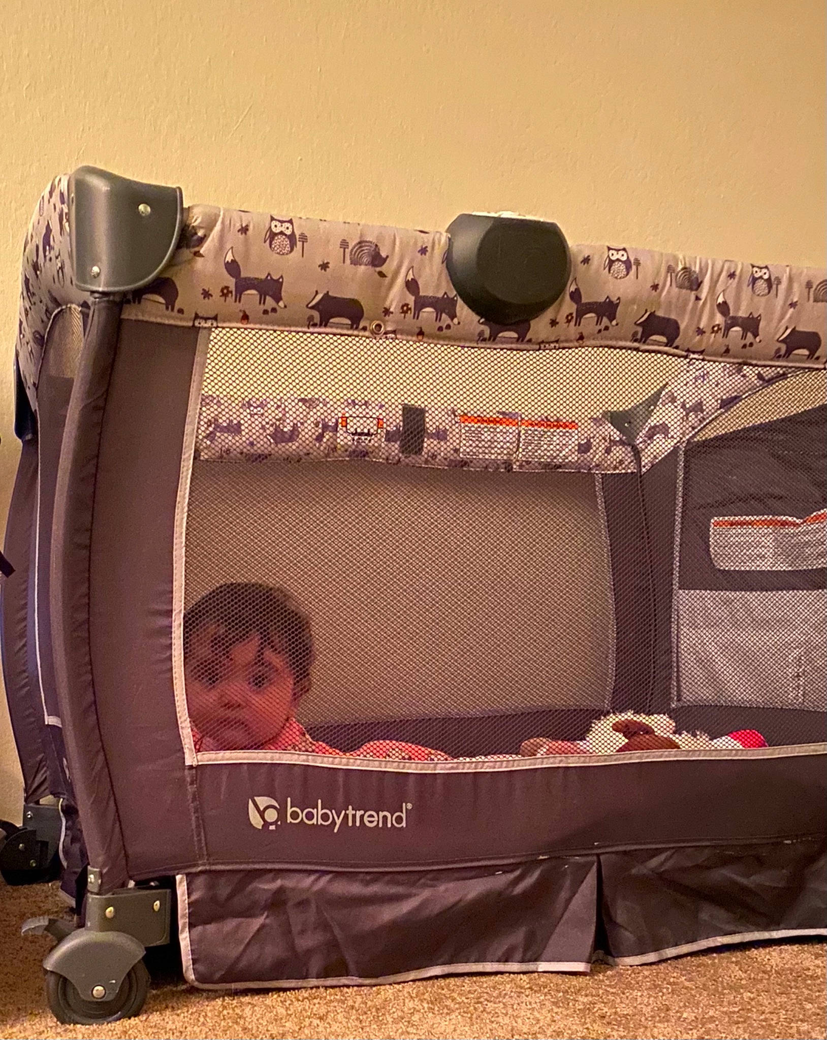 Naia is registered to the contest to win money with this photo: art, audio_equipment, bag, brown, electronic_device, electronic_instrument, event, fashion_accessory, flooring, font, gadget, hardwood, linens, material_property, metal, musical_instrument, musical_instrument_accessory, person, rectangle, room