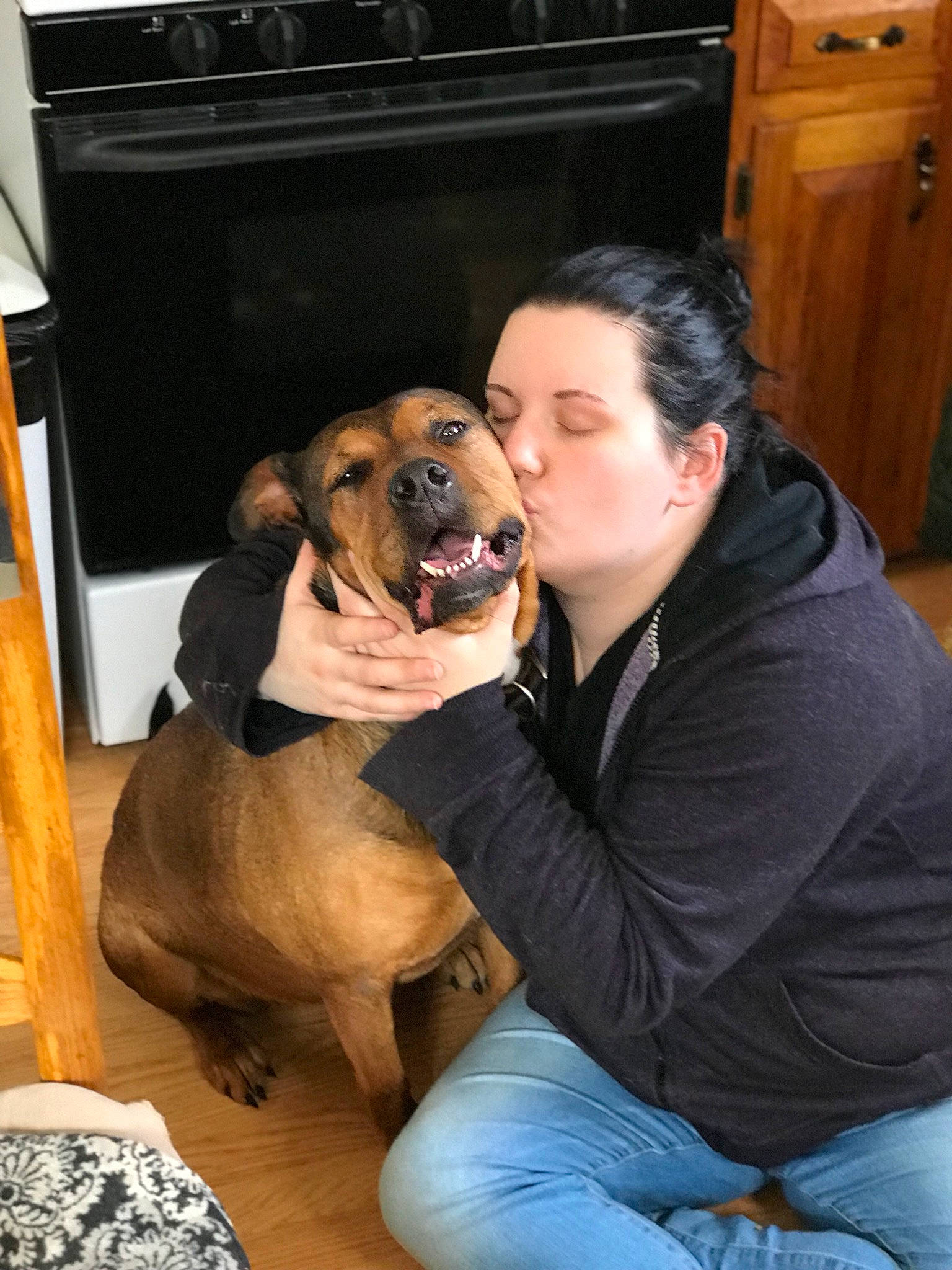 Ruby is registered to the contest to win money with this photo: black_mouth_cur, broholmer, canidae, carnivore, dog, dog_breed, fawn, mammal, rhodesian_ridgeback, snout
