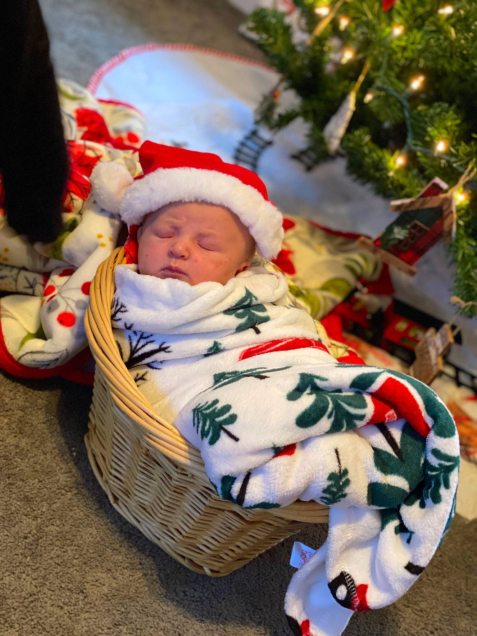 Jaxx joined the competition — help win amazing prizes! baby, baby_toddler_clothing, child, christmas, christmas_decoration, christmas_eve, christmas_ornament, christmas_tree, conifer, event, facial_expression, grass, happy, headwear, holiday, people_in_nature, person, plant, sitting, toddler