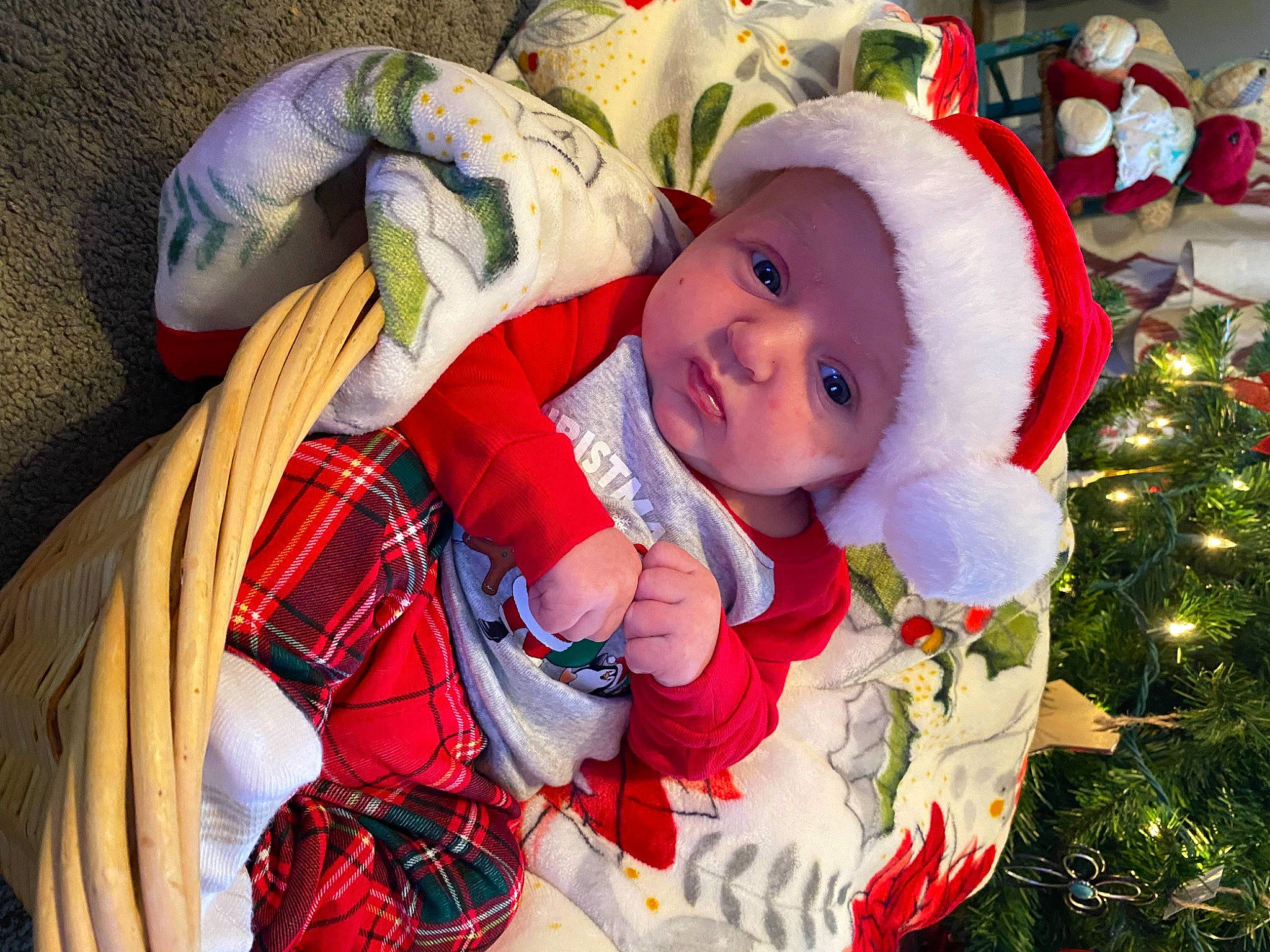 Jaxx is registered to the contest to win money with this photo: baby, baby_toddler_clothing, christmas_decoration, christmas_ornament, christmas_tree, event, fictional_character, happy, hat, headwear, holiday, holiday_ornament, lap, ornament, pattern, person, santa_claus, smile, tartan, toddler
