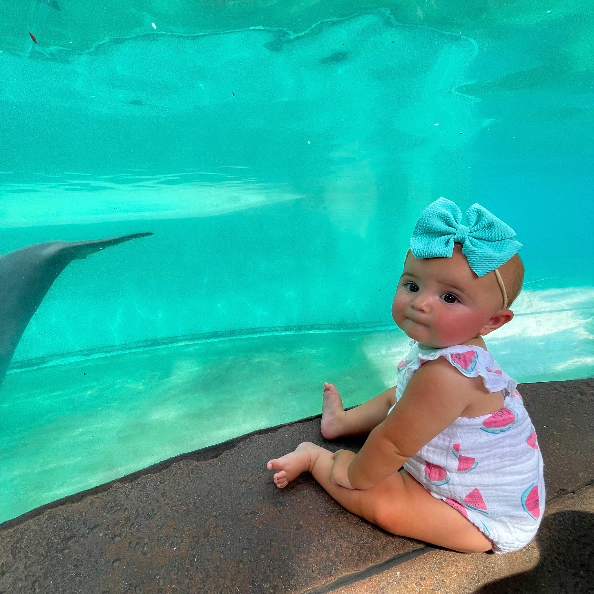 Paisley is registered to the contest to win money with this photo: aqua, azure, baby, baby_toddler_clothing, cap, fin, foot, fun, happy, hat, headwear, leisure, ocean, people_in_nature, person, recreation, sandal, swimming_pool, thigh, toddler
