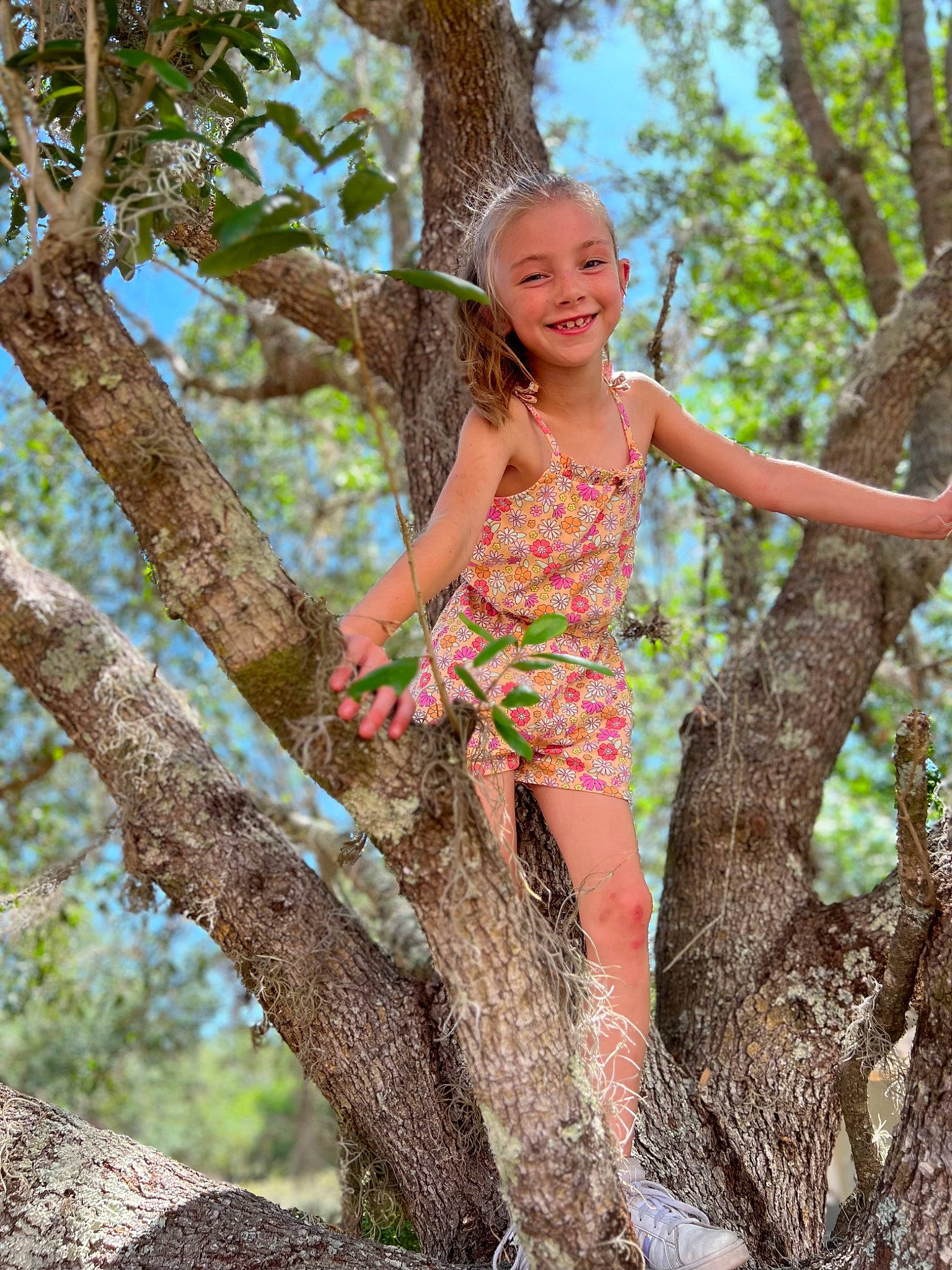 Alyssa joined the competition — help win amazing prizes! botany, branch, eye, fawn, grass, hairstyle, happy, human_body, joy, leisure, people_in_nature, person, plant, sky, smile, thigh, tree, trunk, twig, waist