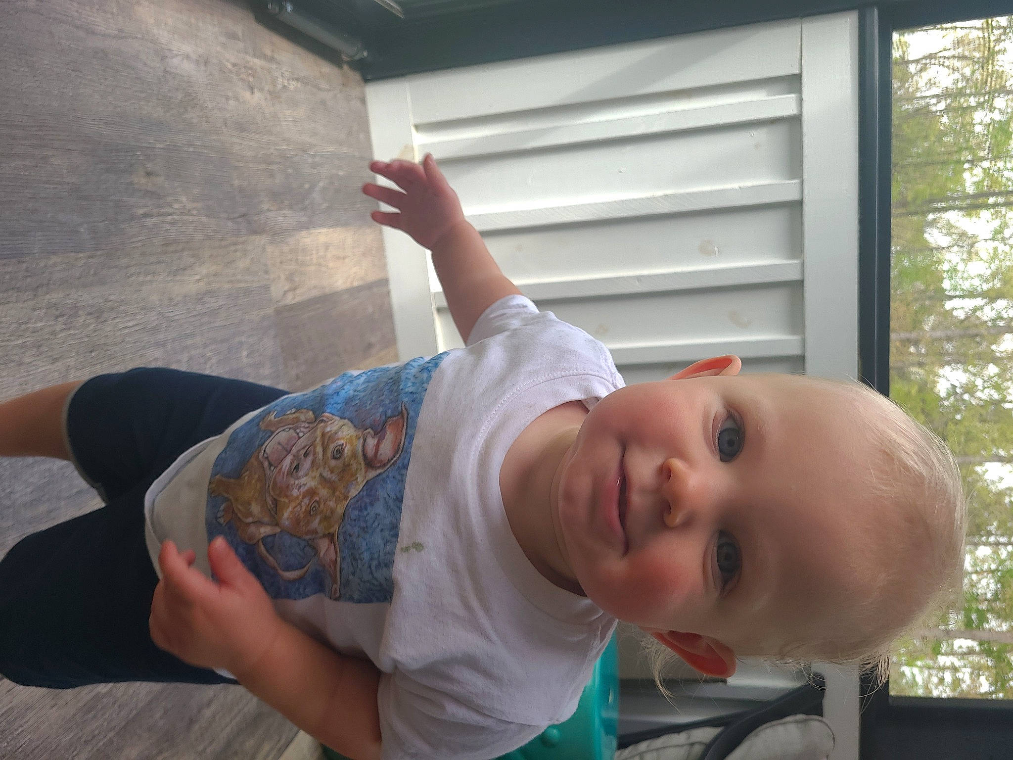 Ronin is registered to the contest to win money with this photo: baby, child, elbow, finger, fun, happy, hat, headgear, human_leg, joy, knee, leisure, mouth, person, plant, smile, thigh, toddler, tree, waist