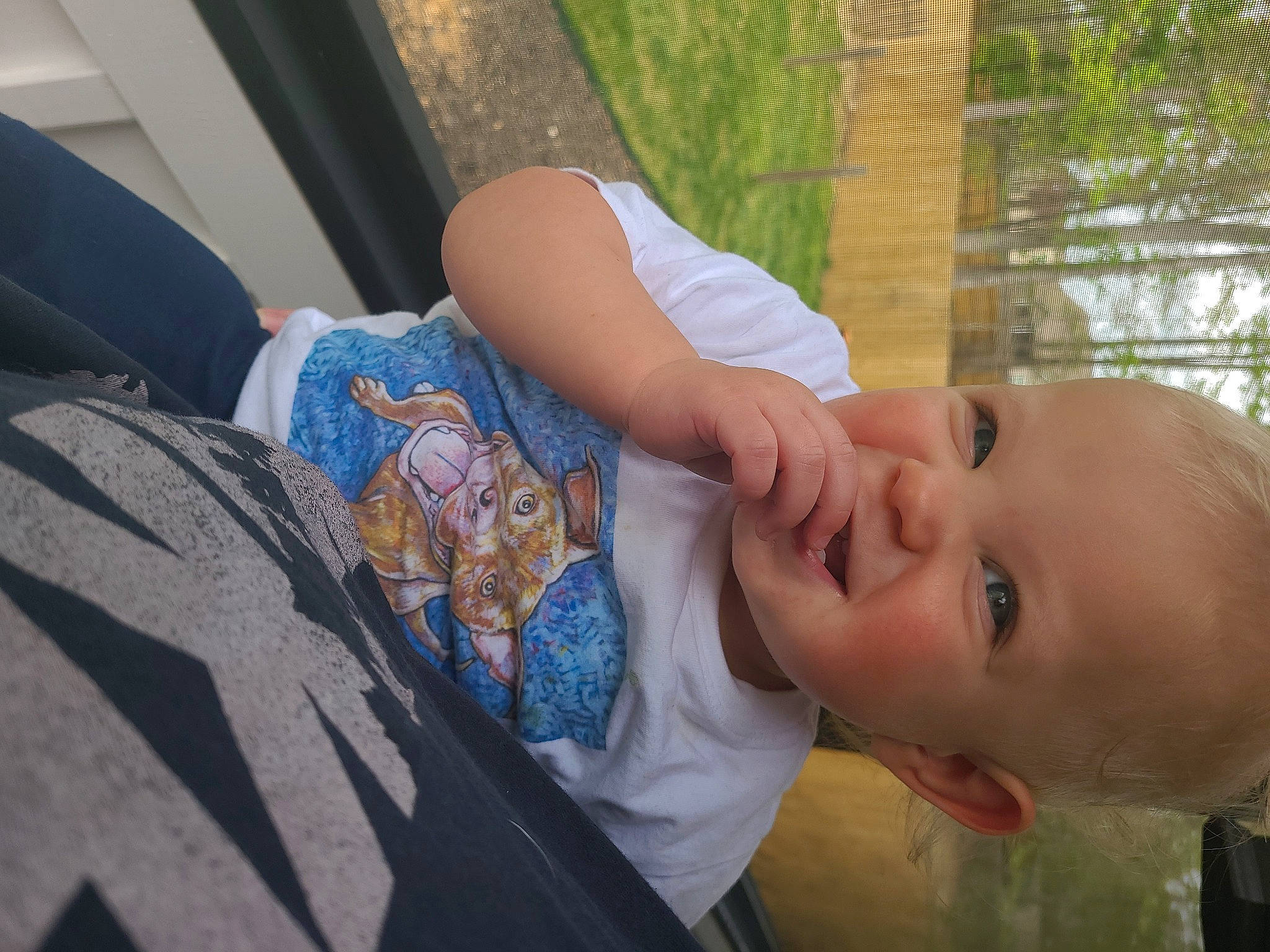 Ronin joined the competition — help win amazing prizes! baby, baby_toddler_clothing, cheek, child, electric_blue, face, finger, fun, grass, hand, happy, hat, leisure, nose, person, plant, skin, smile, toddler, tree