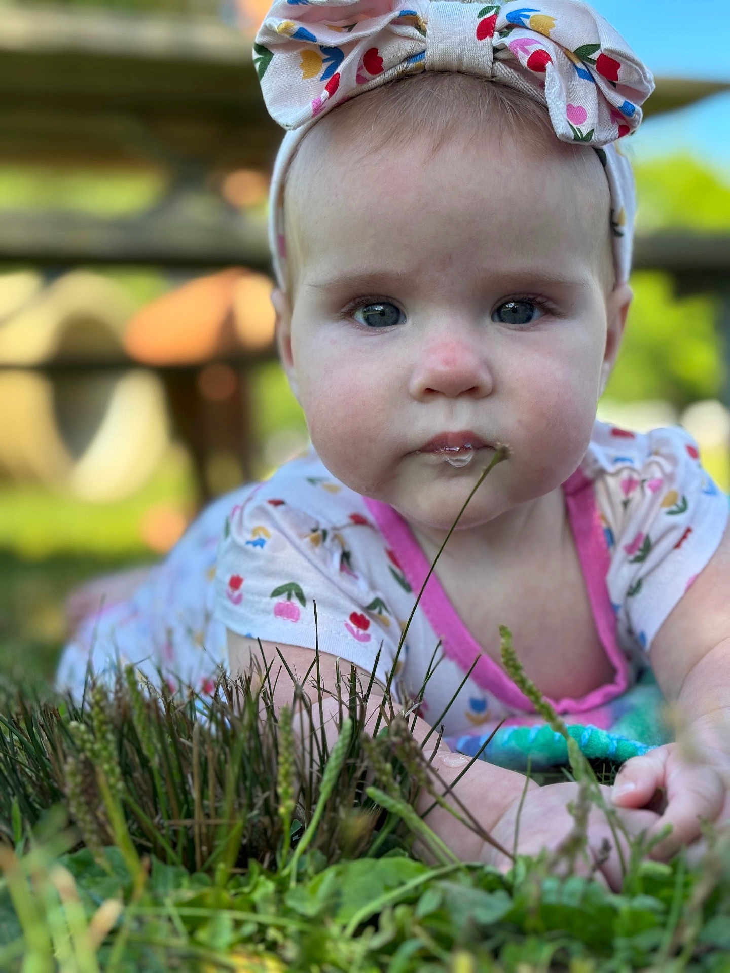 Stella joined the competition — help win amazing prizes! baby, child, closeup, colorful_clothing, curious, drool, expression, face, grass, greenery, headband, infant, laying, nature, outdoor, portrait, skin, summer, sunlight, toddler