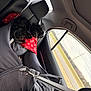 black_dog, blanket, car_interior, car_seat, curious, daytime, dog, fur, leash, pet, red_blanket, resting, road, seat_cover, seatbelt, sky, travel, trees, vehicle, window