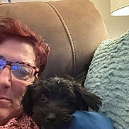 Novah Skye joined the competition — help win amazing prizes! person, dog, glasses, couch, blanket, pillow, lamp, red_hair, indoor, cozy, snuggling, pet, portrait, fabric, home, relaxing, furniture, closeup, resting, comfort