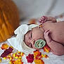 Alice is registered to the contest to win money with this photo: baby, infant, pacifier, headband, bow, autumn_leaves, candy_corn, fall, seasonal, lying_down, blanket, cute, newborn, skin, hand, face, small, soft, holiday, decor