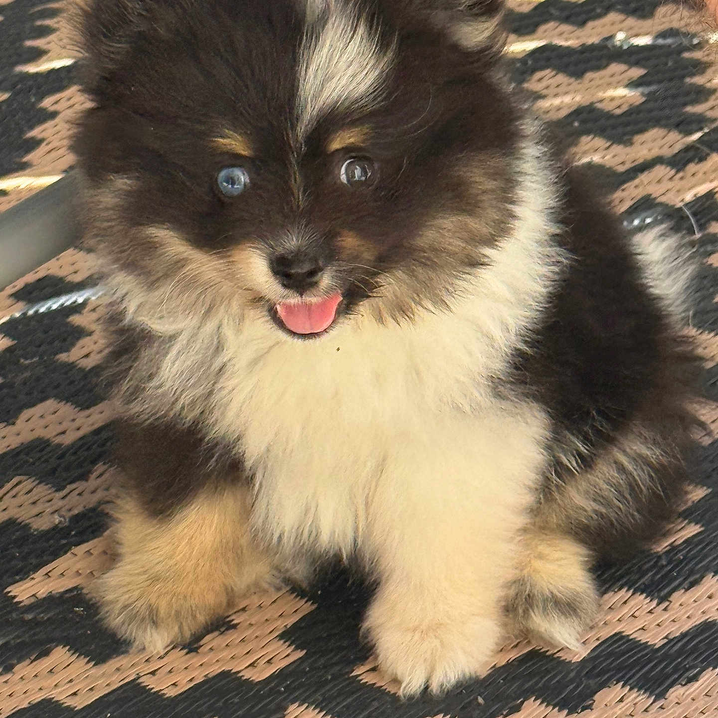 Pixel