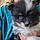 Pixel