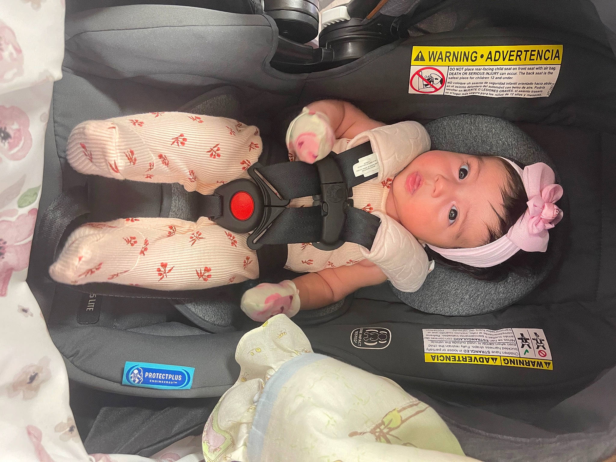 Nayeli joined the competition — help win amazing prizes! auto_part, baby, baby_carriage, baby_in_car_seat, baby_products, baby_safety, baby_sleeping, baby_toddler_clothing, bag, car_seat, carmine, child, comfort, family_car, luggage_and_bags, person, product, room, stuffed_toy, toddler