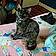 Kakaya Tori Holt