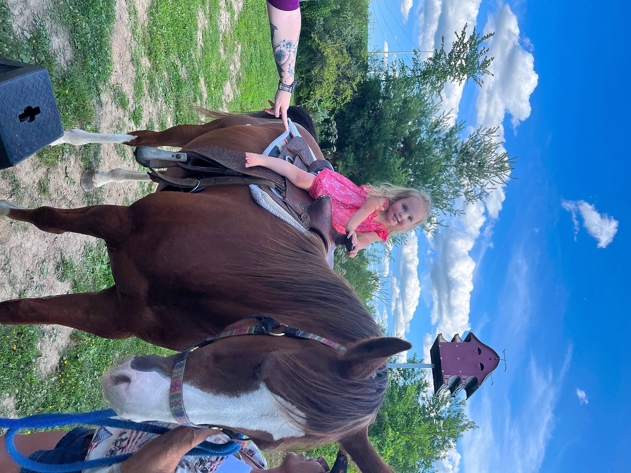 Elaina joined the competition — help win amazing prizes! blue, bridle, cloud, fawn, fun, green, hat, horse, horse_tack, joy, leisure, light, organism, pack_animal, person, plant, recreation, sky, summer, tree