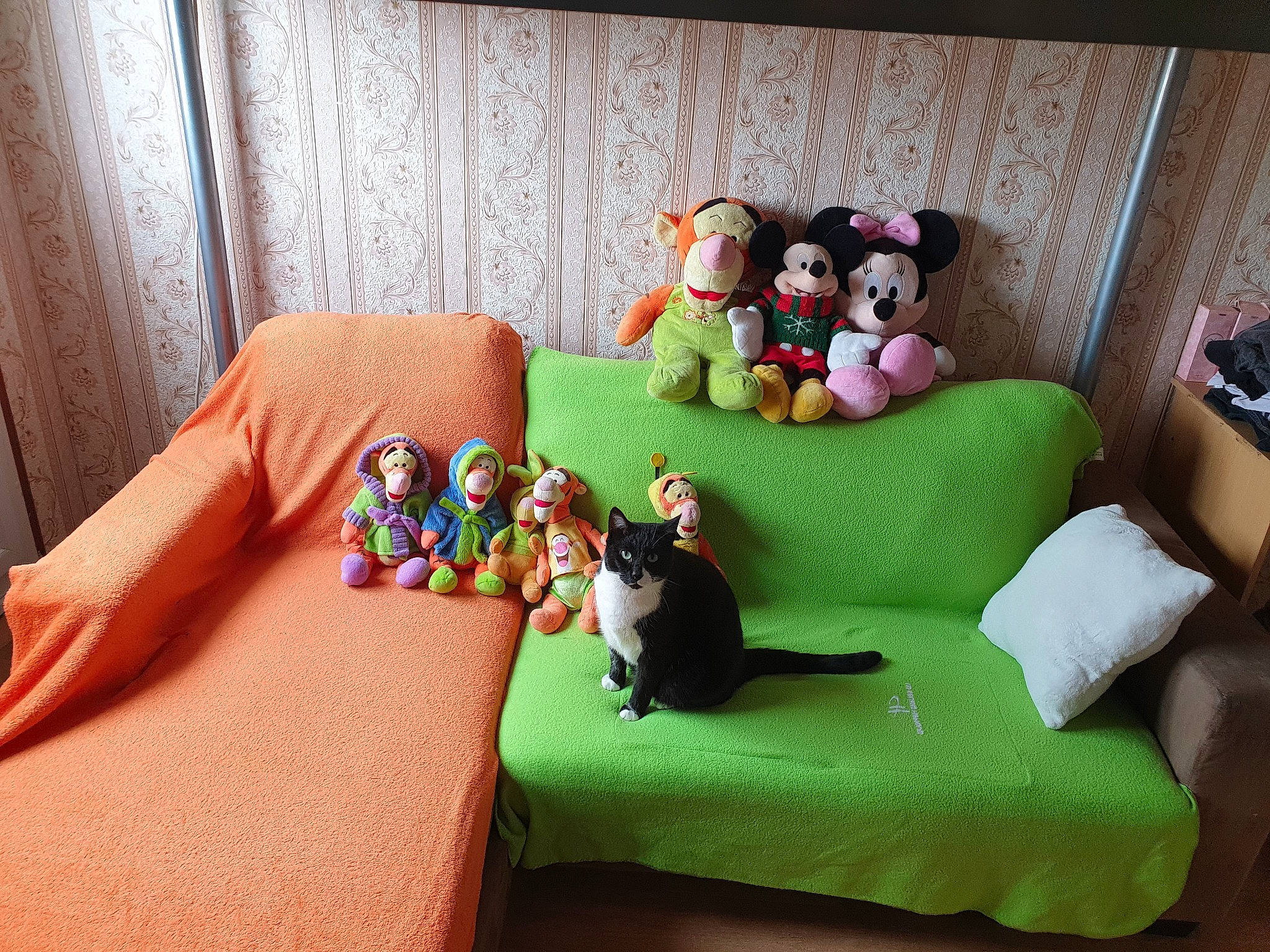 Maxou participe au concours pour gagner de l'argent avec cette photo : bed, bed_sheet, boston_terrier, canidae, comfort, couch, cushion, figurine, furniture, interior_design, linens, non_sporting_group, pillow, play, plush, room, stuffed_toy, textile, toy