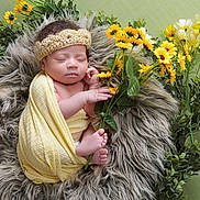 Brielle joined the competition — help win amazing prizes! newborn, baby, sleeping, yellow_blanket, crocheted_headband, fluffy_fur, yellow_flowers, green_leaves, peaceful, infant, portrait, closeup, resting, cute, soft_texture, natural_light, indoor, decorative, still_life, tender