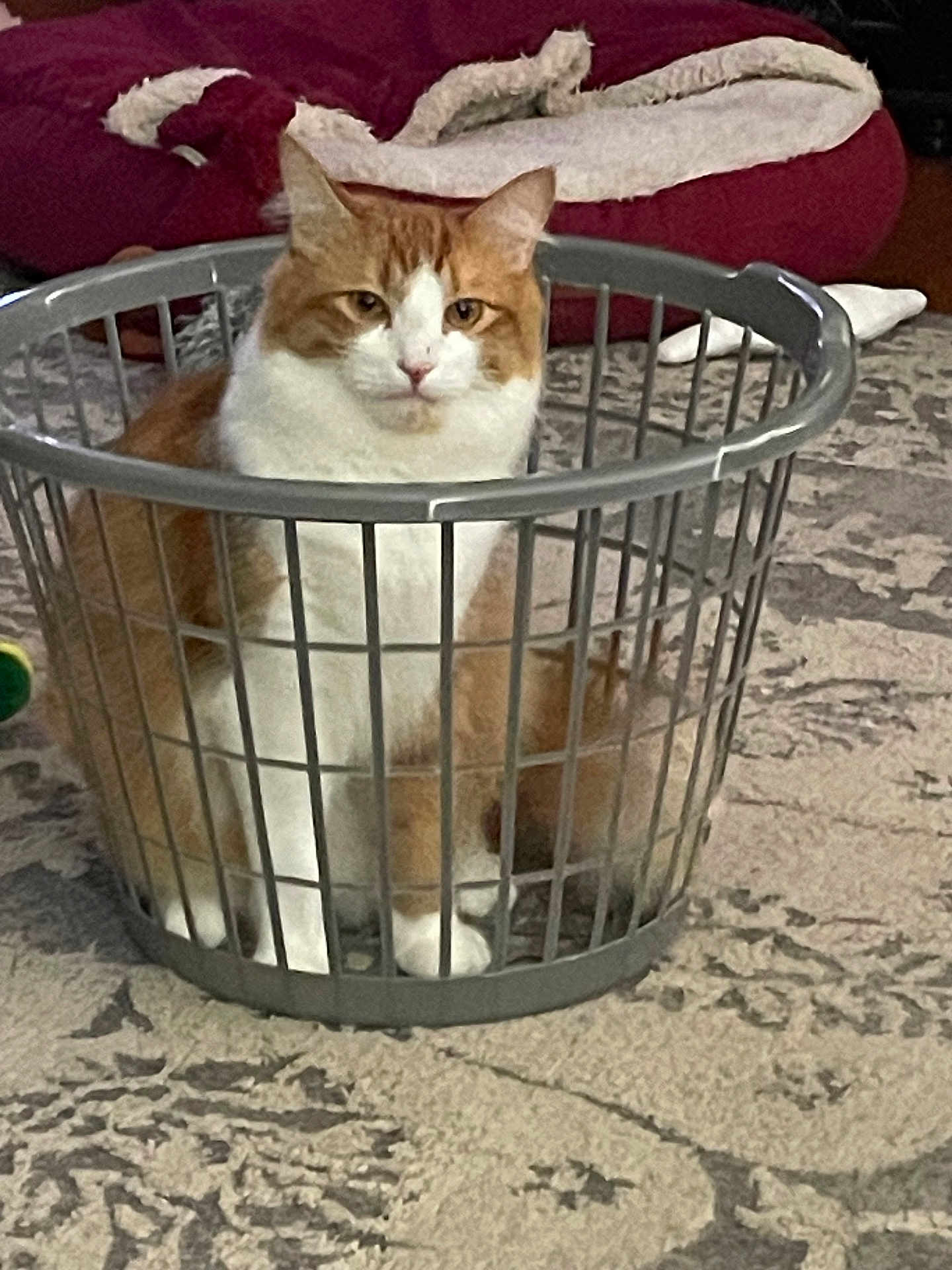 Nacho