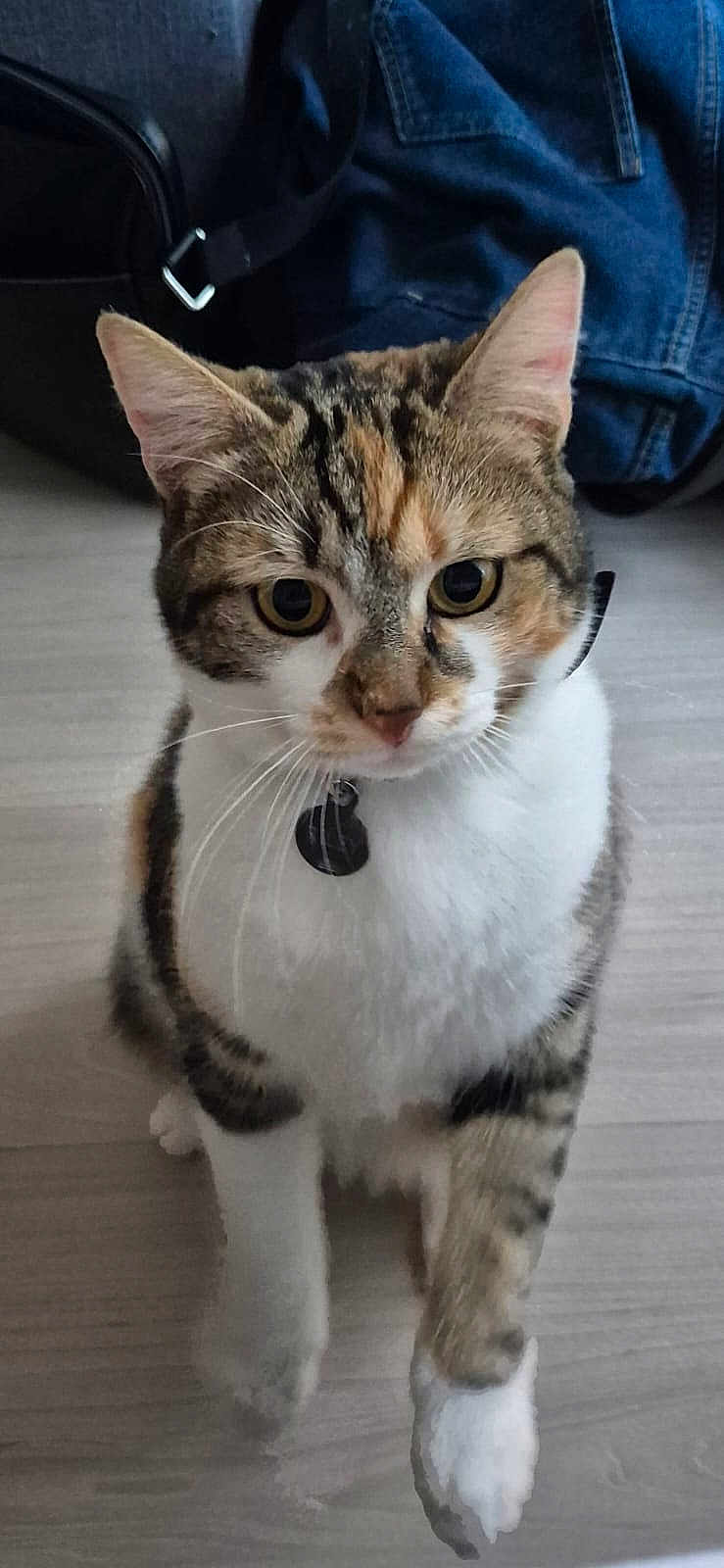Riley