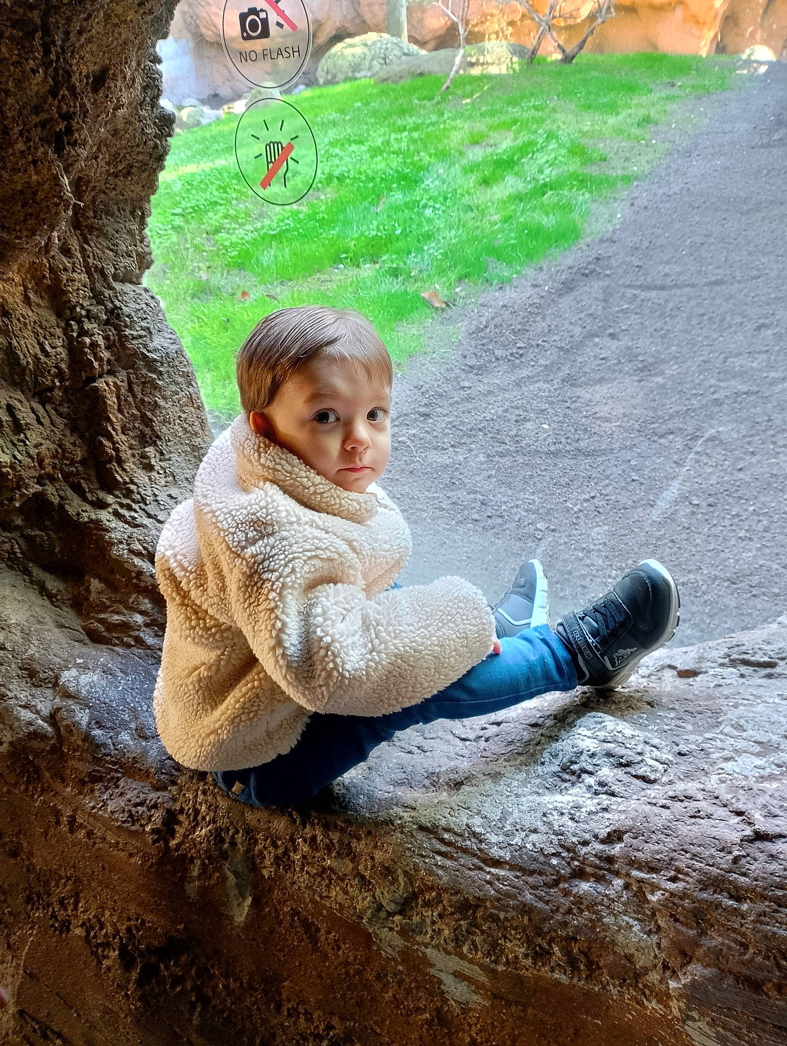 Diego a rejoint le concours — aidez-le/la à gagner de superbes lots ! art, fawn, fun, grass, human_leg, leaf, leisure, nature, people_in_nature, person, plant, recreation, road_surface, rock, sitting, soil, toddler, tree, trunk, wilderness