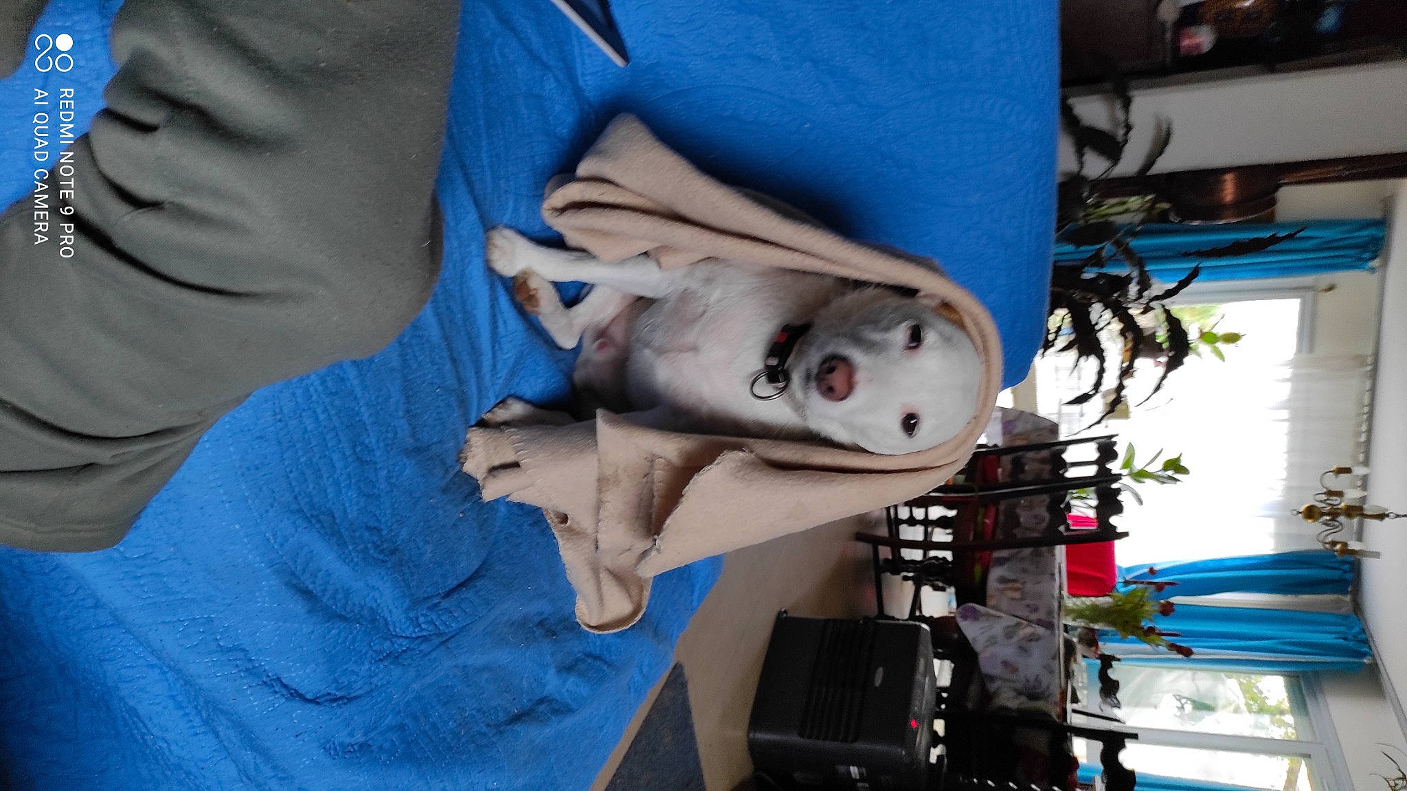 Nouky participe au concours pour gagner de l'argent avec cette photo : art, carmine, comfort, denim, elbow, electric_blue, electrical_wiring, fish, machine, room, sculpture, sleeve, t_shirt, visual_arts