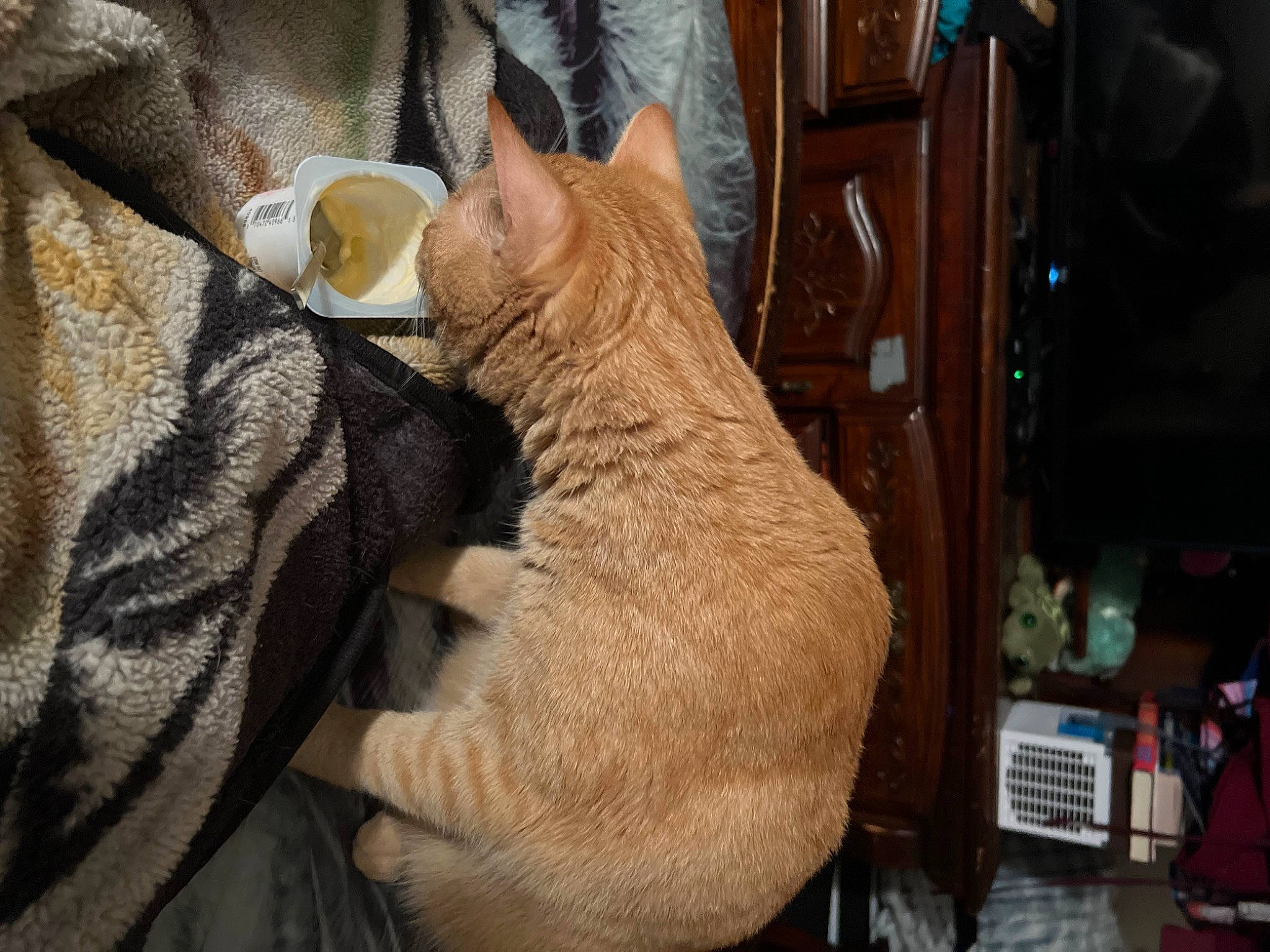 Brooks is registered to the contest to win money with this photo: canidae, carnivore, cat, claw, comfort, domestic_short_haired_cat, ear, fawn, felidae, fur, gesture, human_leg, lap, nail, paw, small_to_medium_sized_cats, snout, tail, whiskers, wood