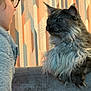 Pepper participe au concours pour gagner de l'argent avec cette photo : cat, person, indoor, wallpaper, couch, fluffy, long_hair, pet, whiskers, glasses, profile_view, human_face, animal_face, fur, furniture, looking_at_each_other, cozy, portrait, maine_coon_like, judgmental