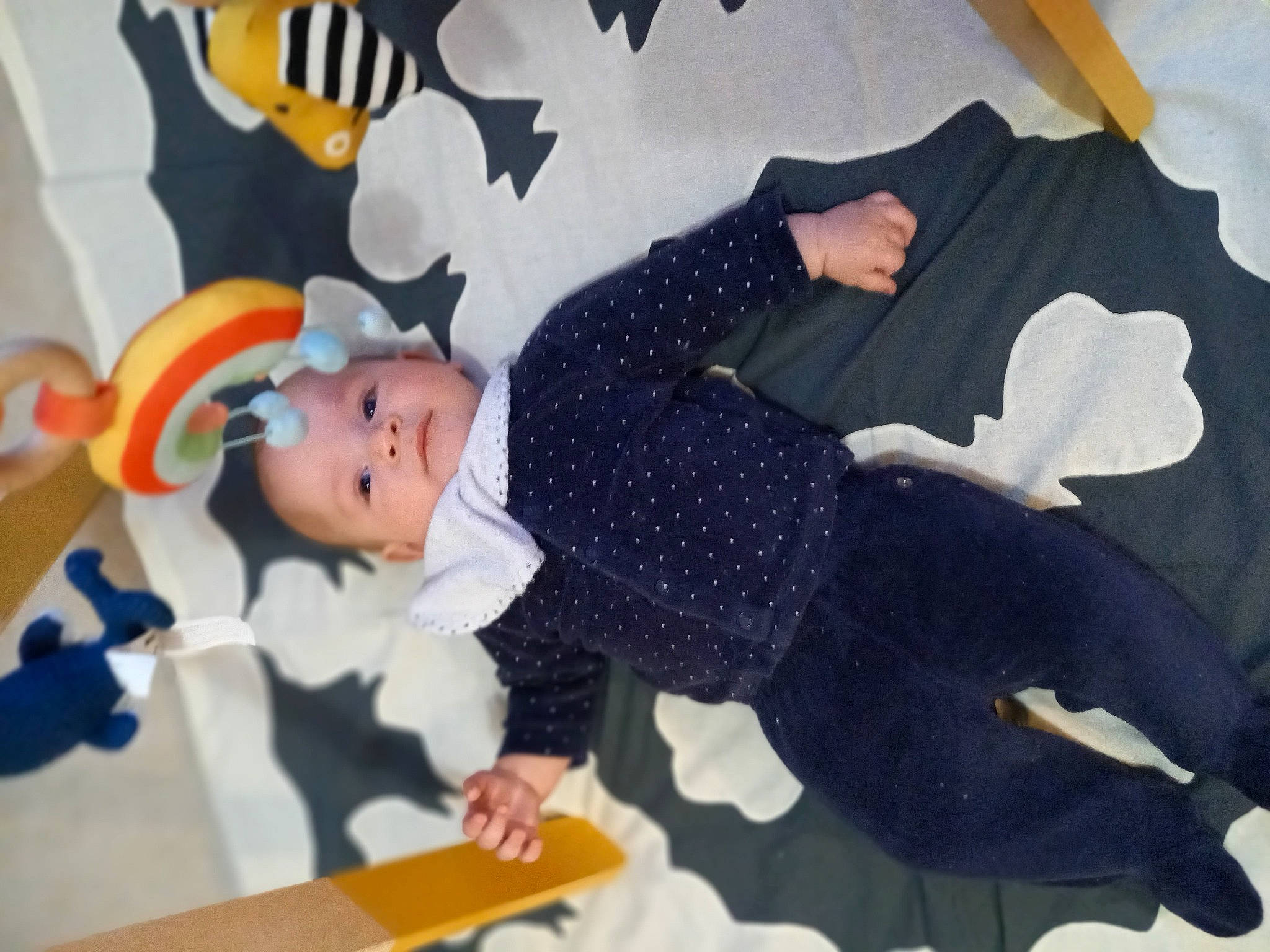 Mayas a rejoint le concours — aidez-le/la à gagner de superbes lots ! baby_products, child, comfort, flooring, fun, gesture, happy, hat, leisure, pattern, person, play, room, sitting, stuffed_toy, suit, textile, toddler, toy, tree