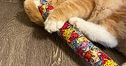 Larry joined the competition — help win amazing prizes! animal, cartoon_cats, cat, claws, colorful, corner, expressive, floor, fur, indoor, lying_down, mouth_open, orange_cat, pet, playful, toy, wall, whiskers, white_paw, wood_floor