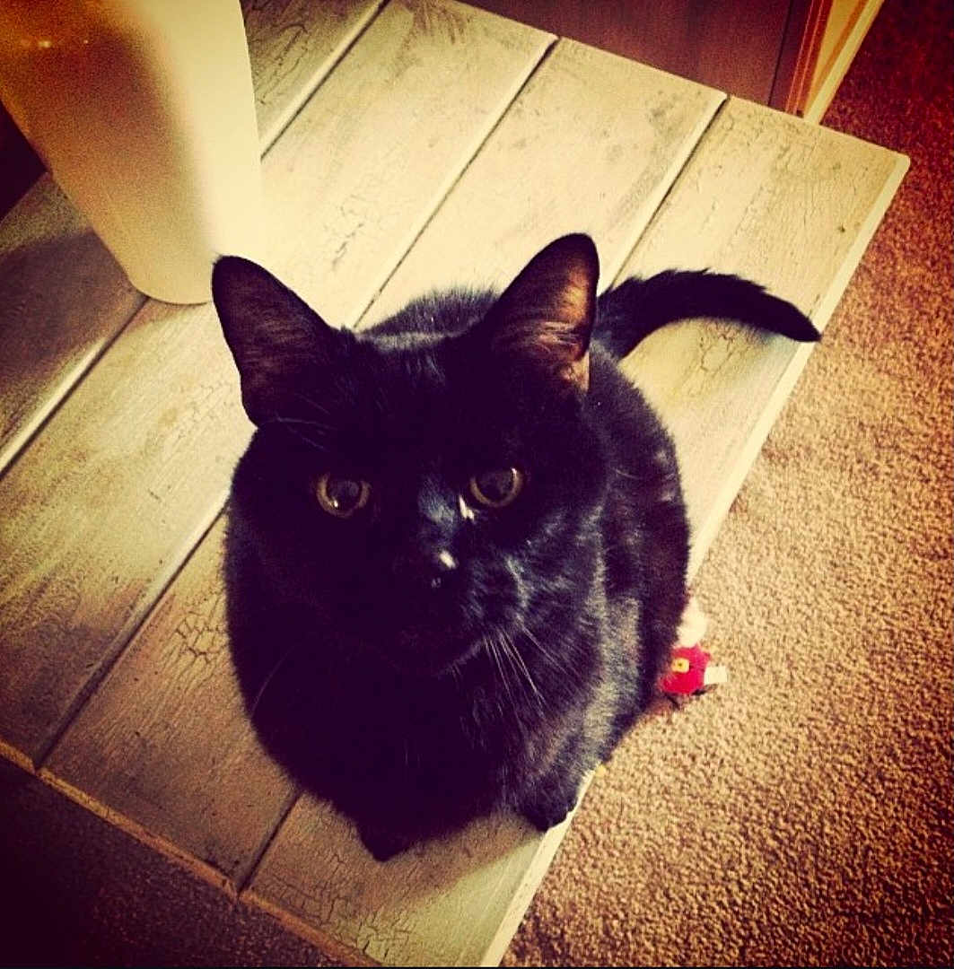 Onyx