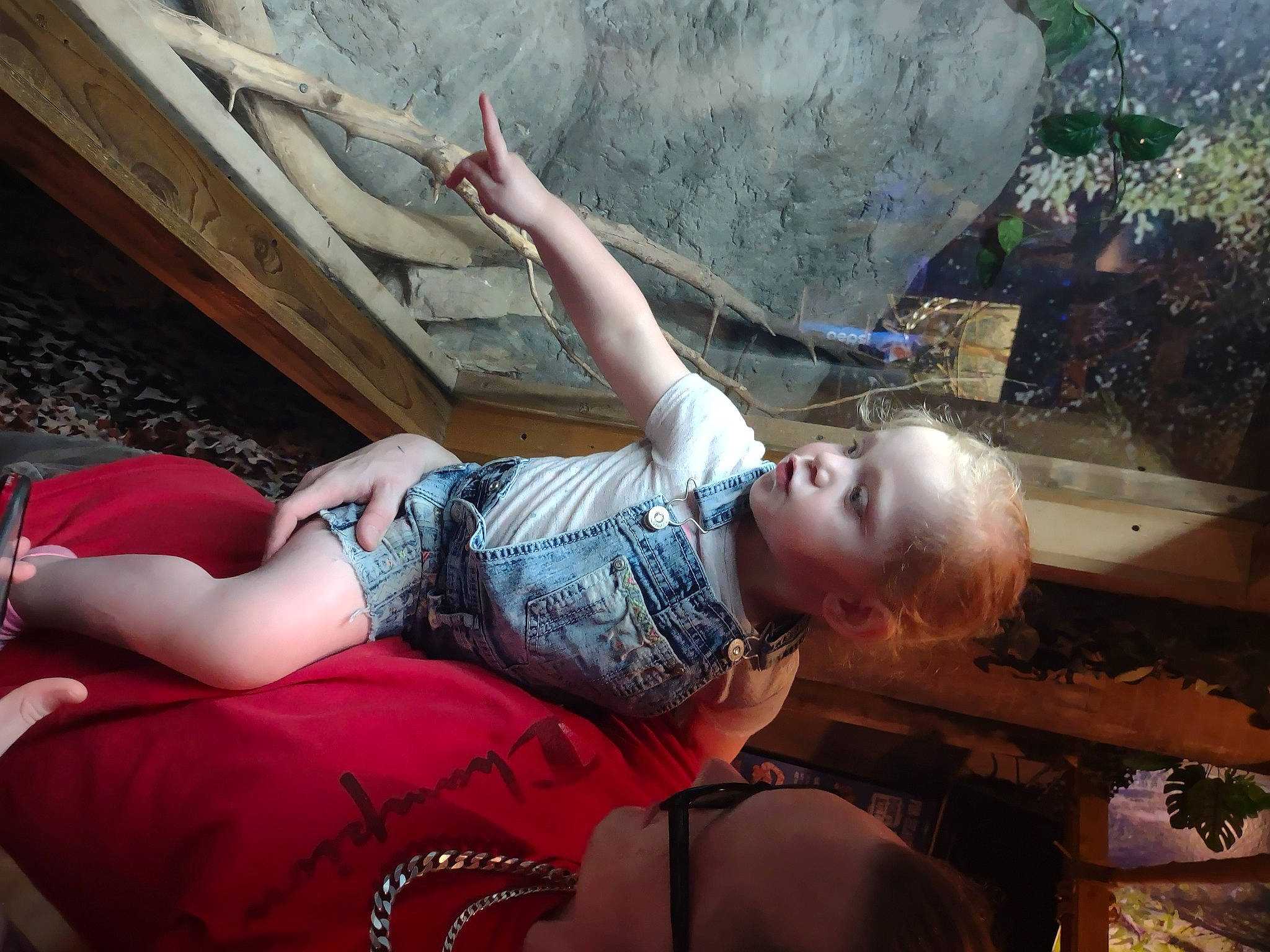 Hailie joined the competition — help win amazing prizes! abdomen, adventure, child, cool, denim, elbow, flash_photography, flesh, fun, human_leg, leisure, person, recreation, rock, sitting, sport_climbing, t_shirt, thigh, tree, trunk