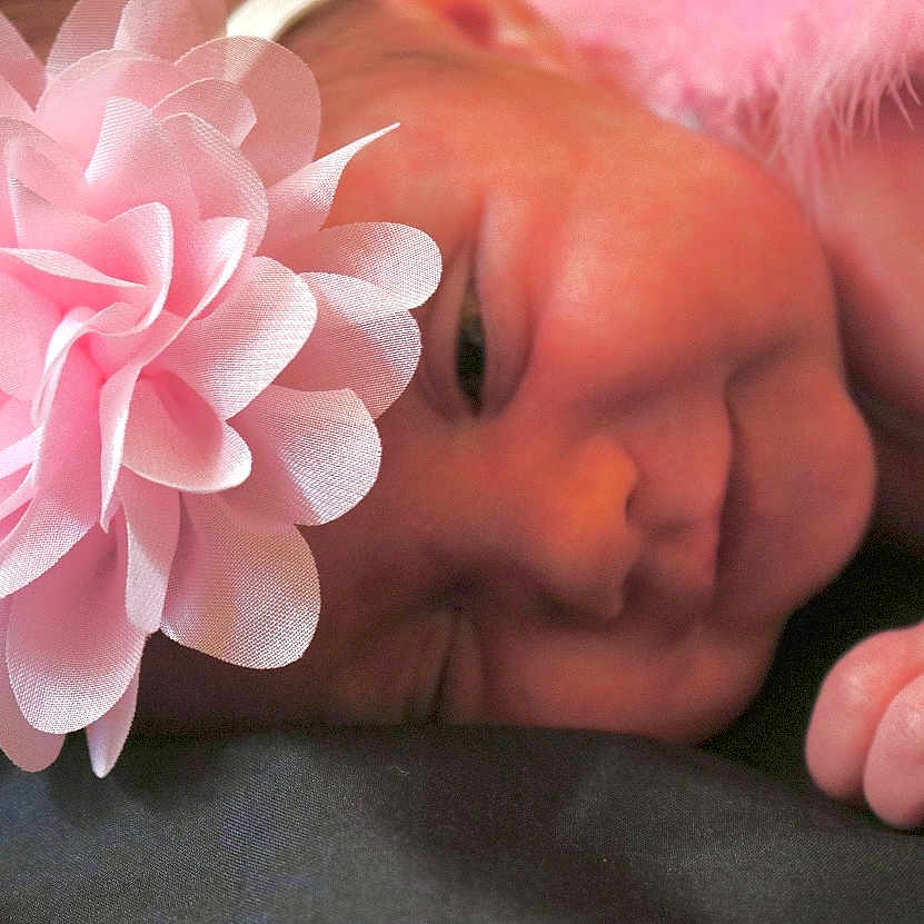 Azania joined the competition — help win amazing prizes! accessories, baby, bodypart, dahlia, face, finger, flower, hand, head, newborn, person, petal, photography, plant, portrait, rose, sleeping